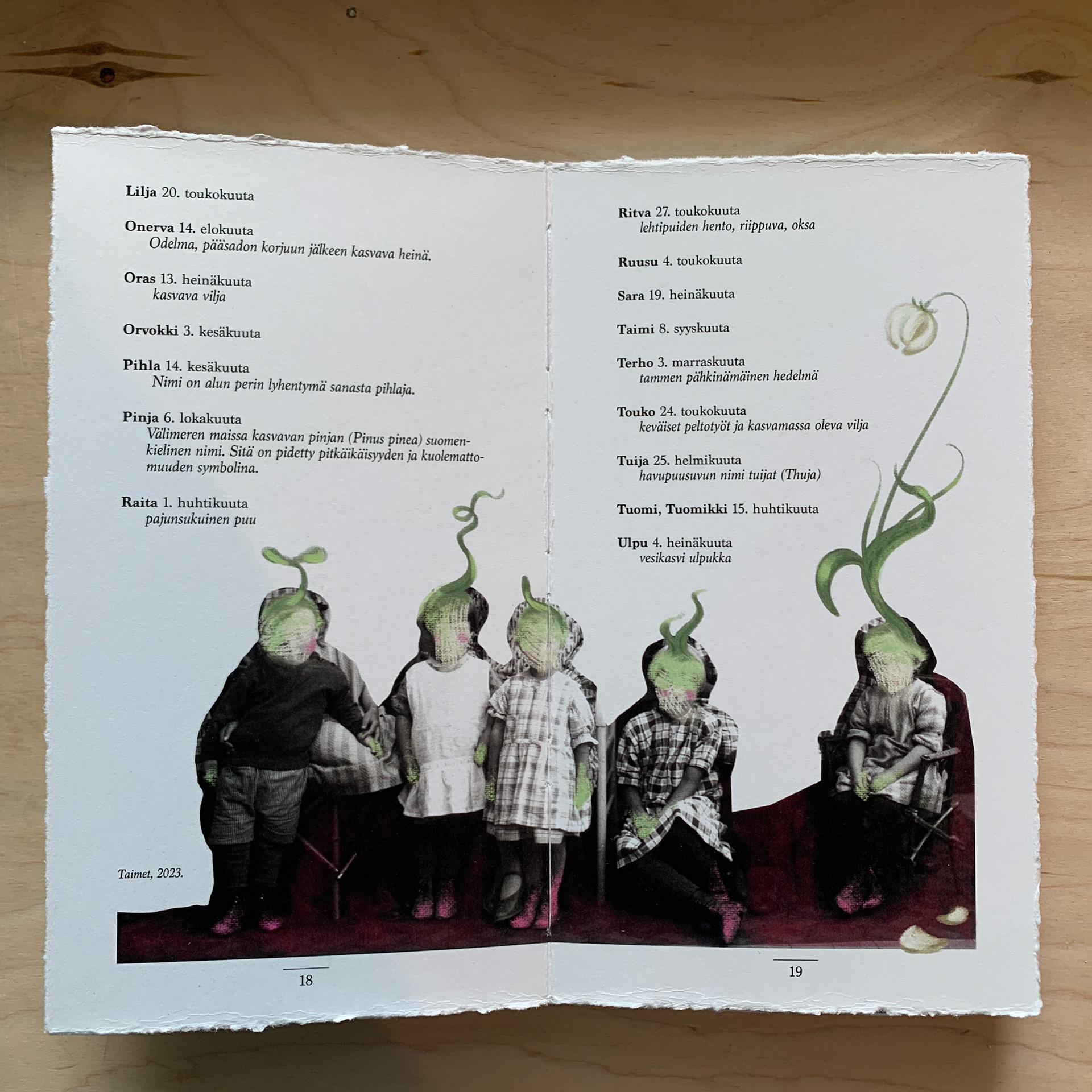 "Seedlings", 2023