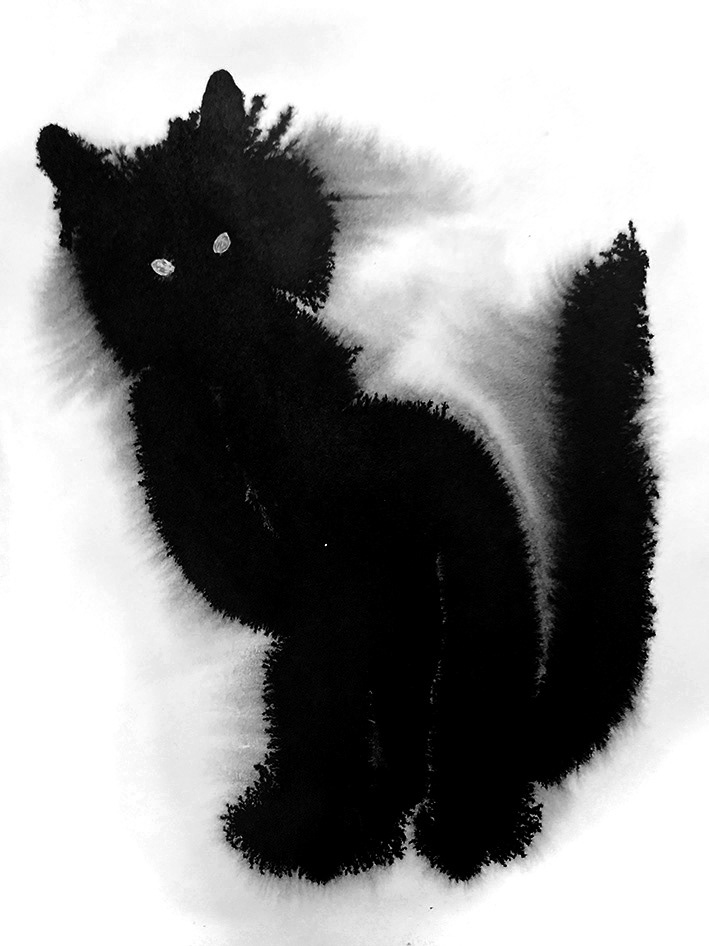 Kissa III, muste, 2021