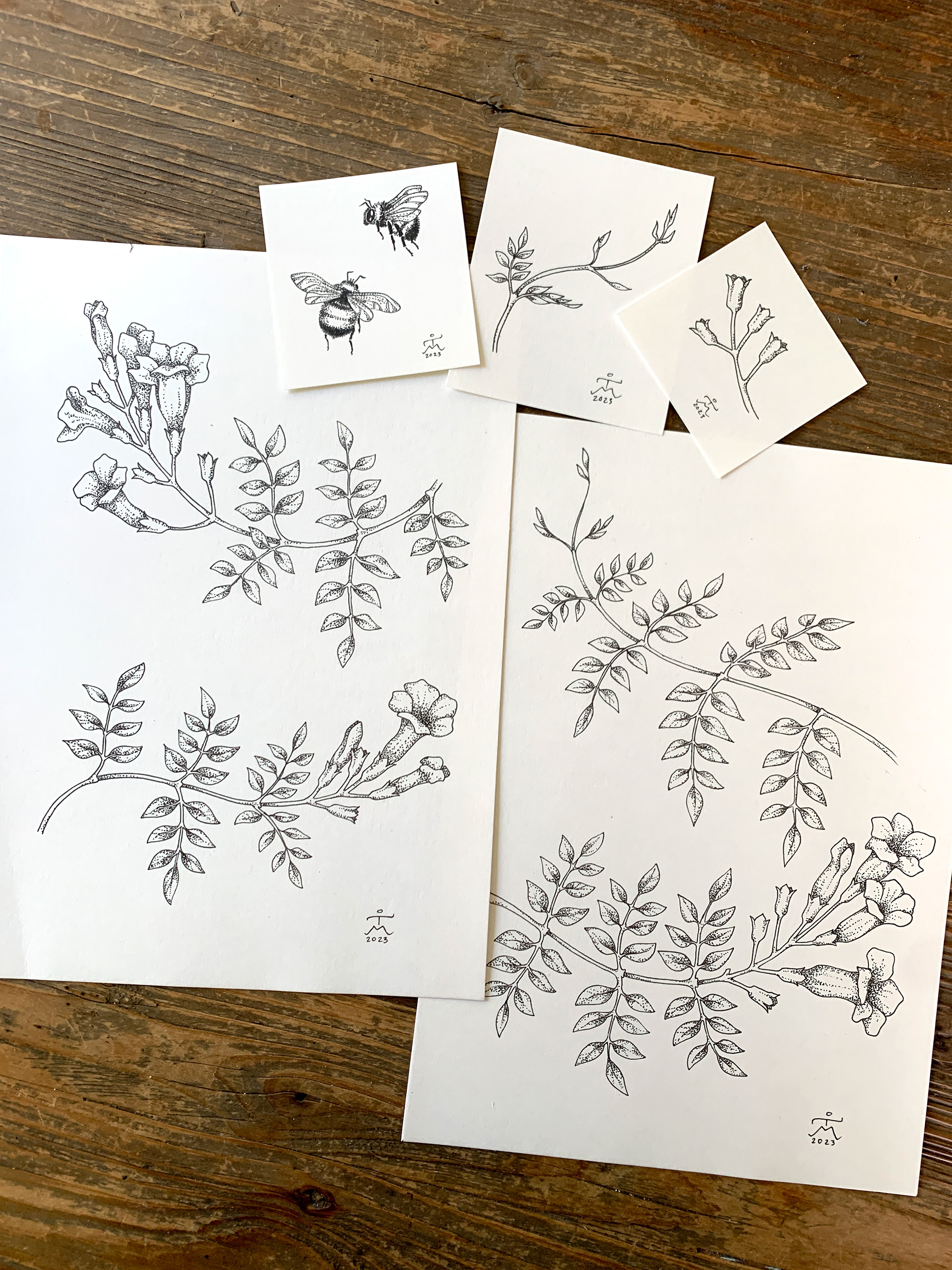 Vines and bees, illustration for tattoo, 2023