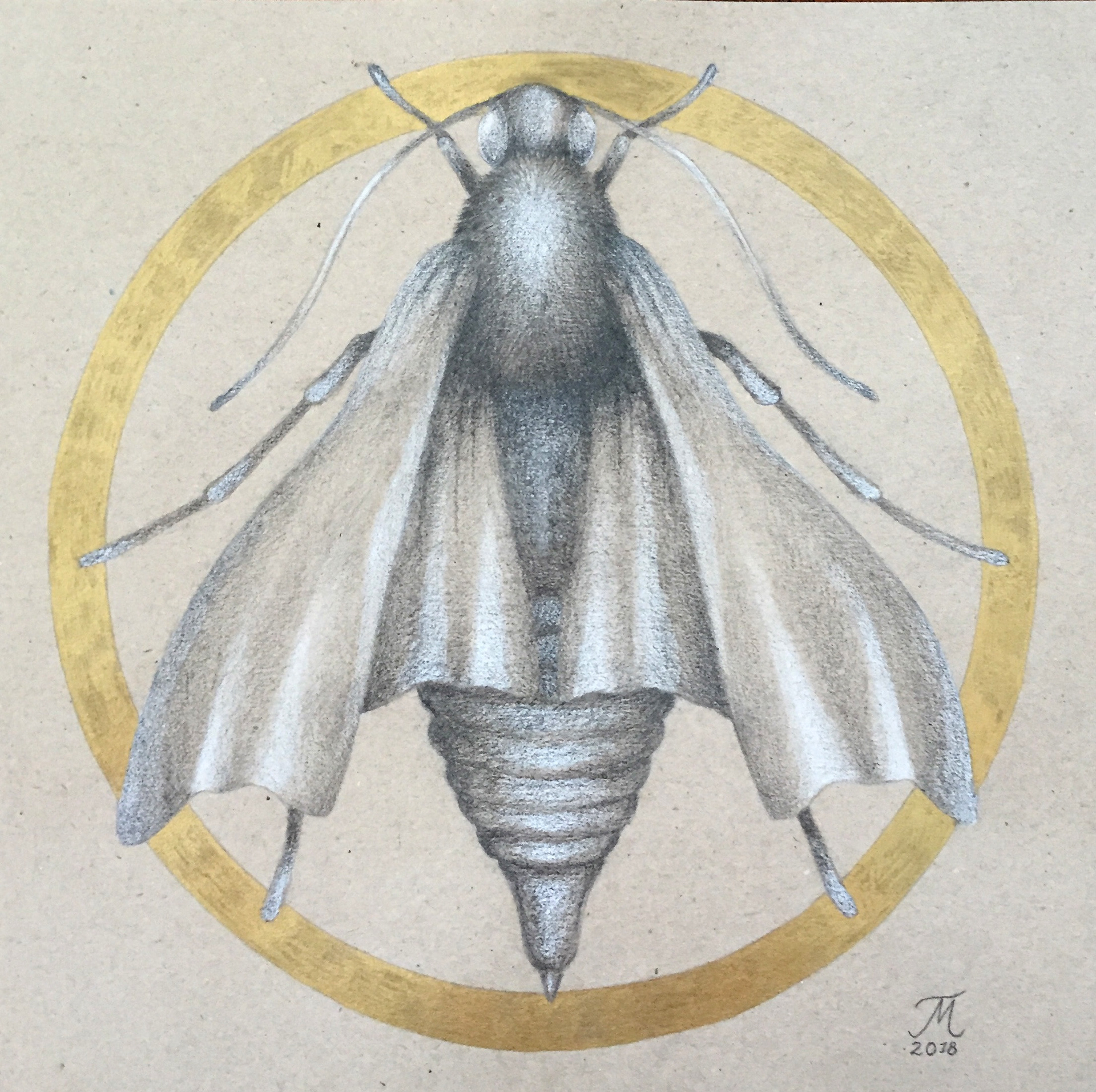 Laimeneminen on kultaa, 25 x 25 cm, 2018