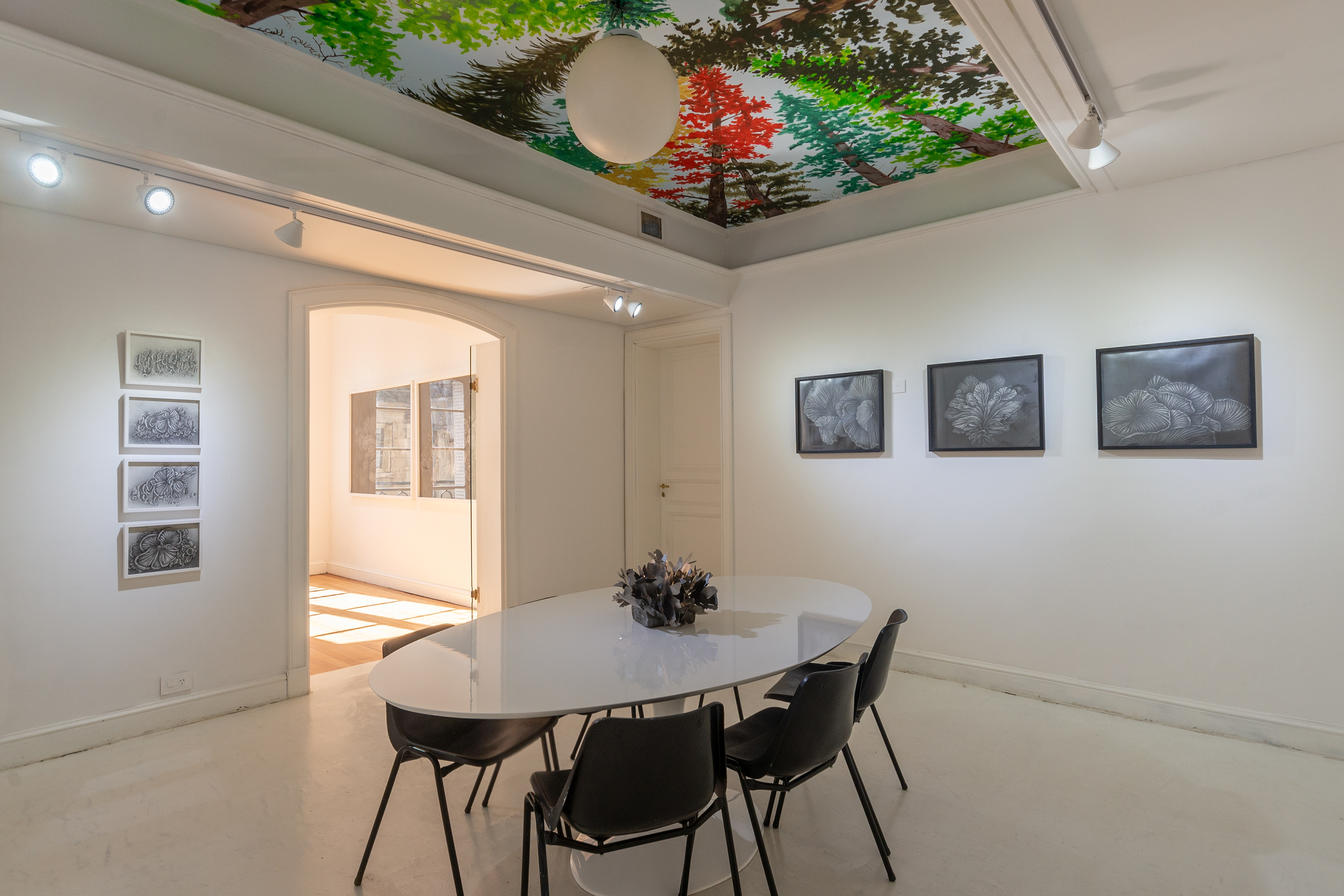 Beatriz Moreiro, The White Lodge, CABA, 2024