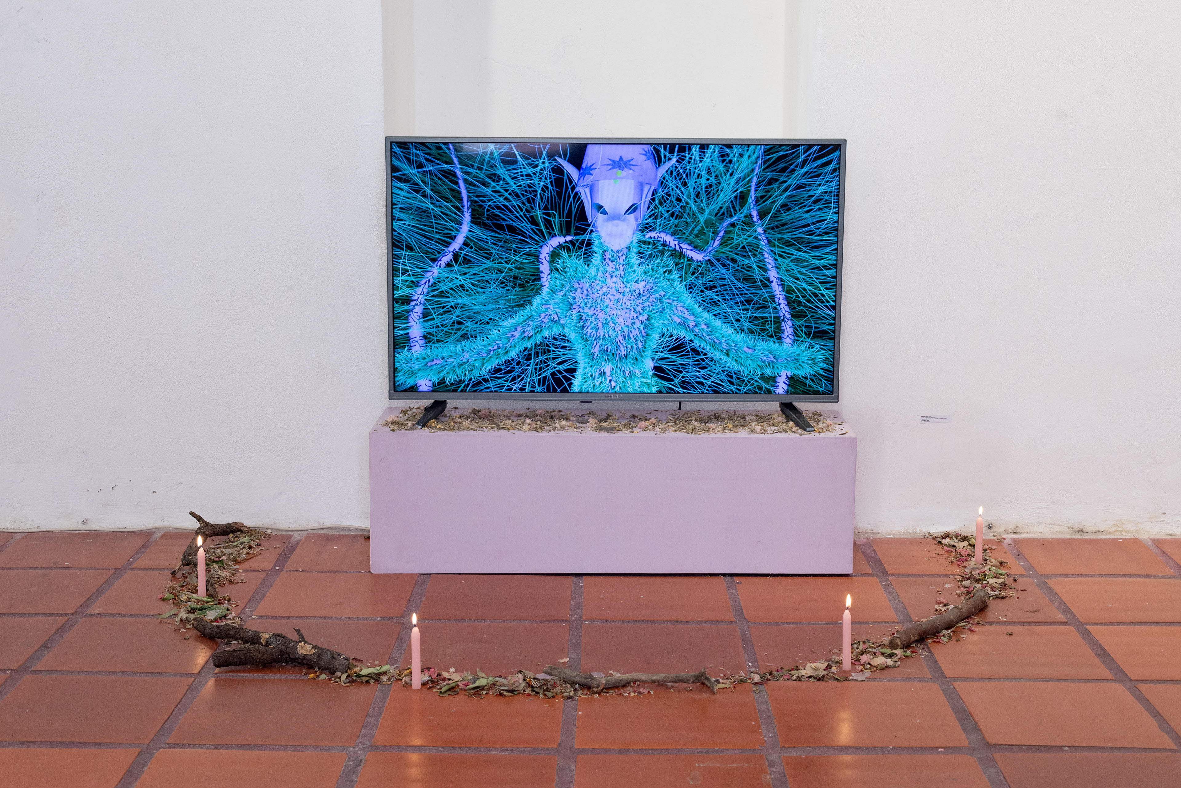 Cintia Arias, Cabildo de Córdoba