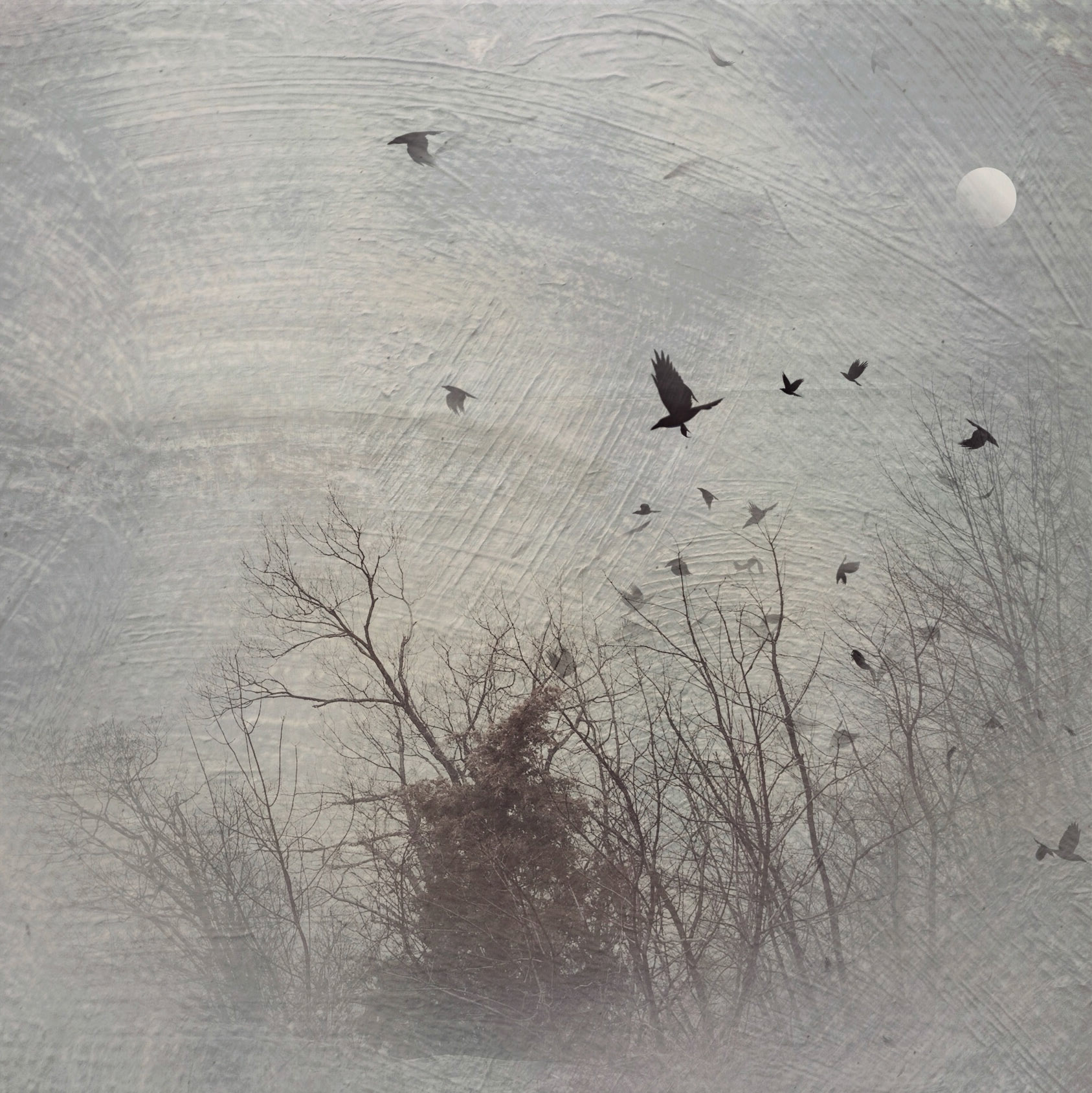 Made with Repix (http://repix.it)