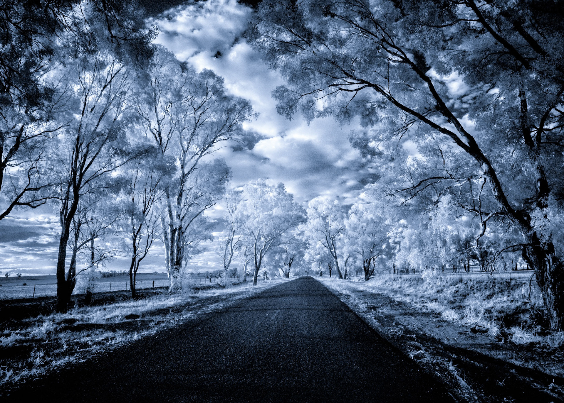 Country Road near Canowindra