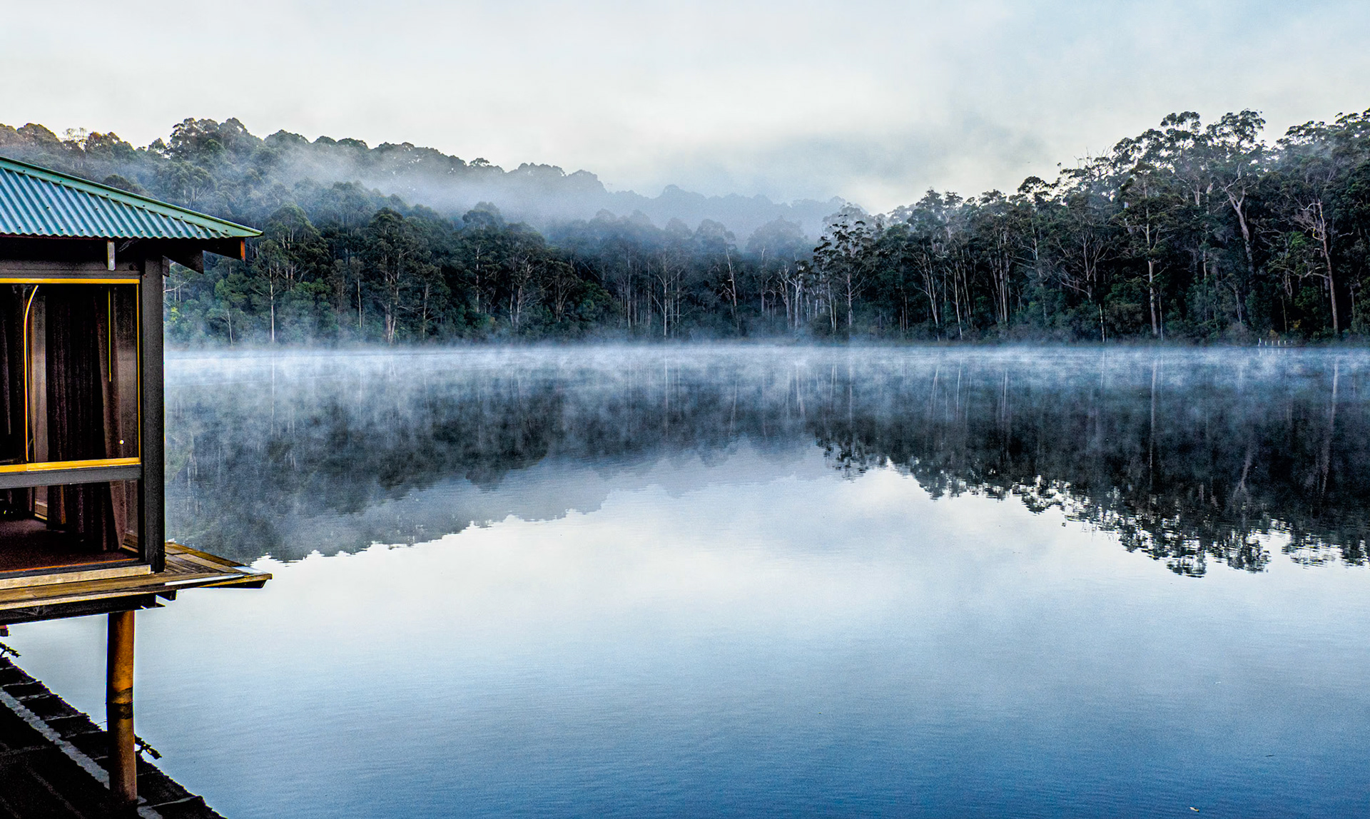 Misty Dawn at Beedelup