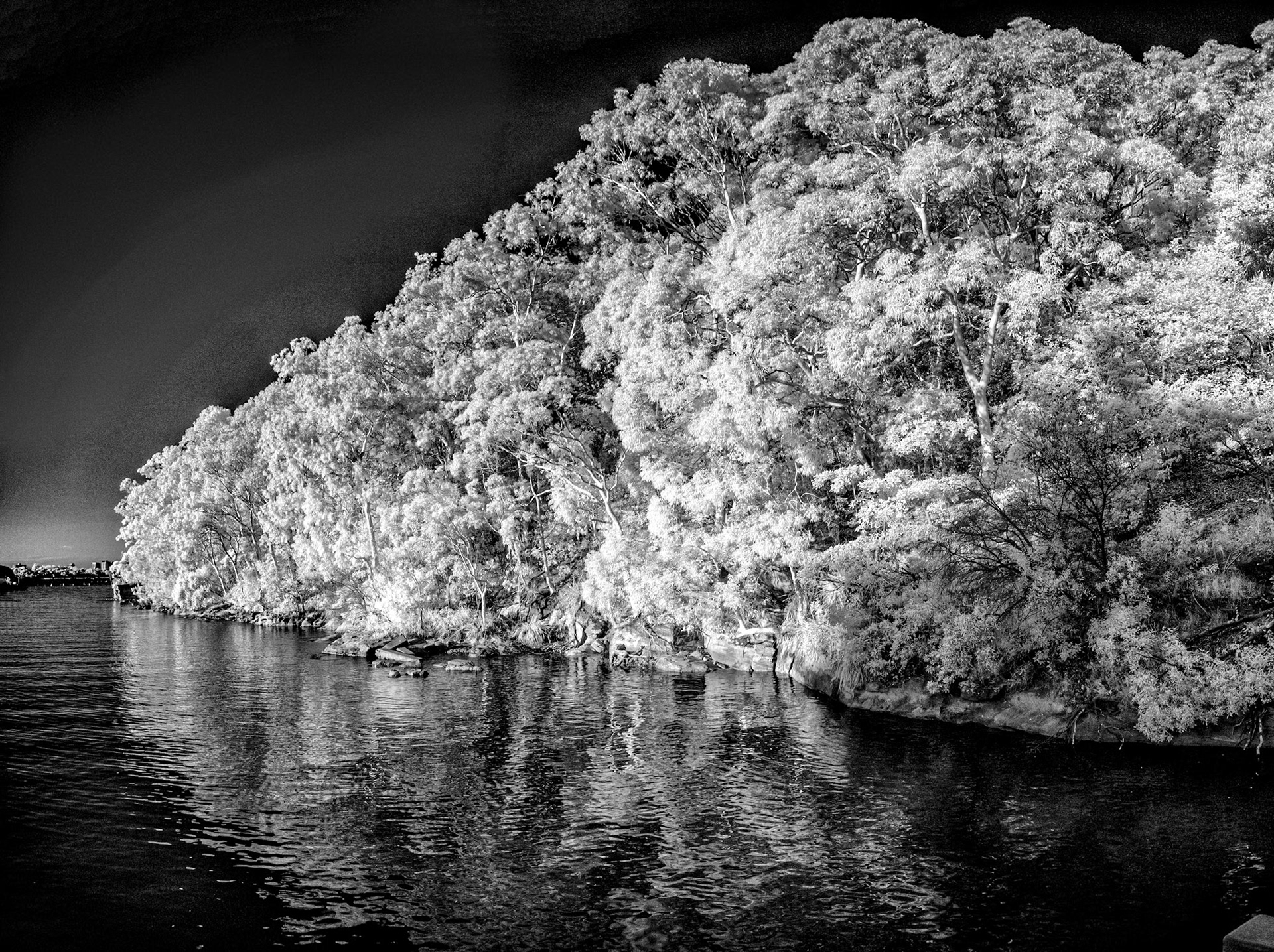 Oyster Bay, Waverton