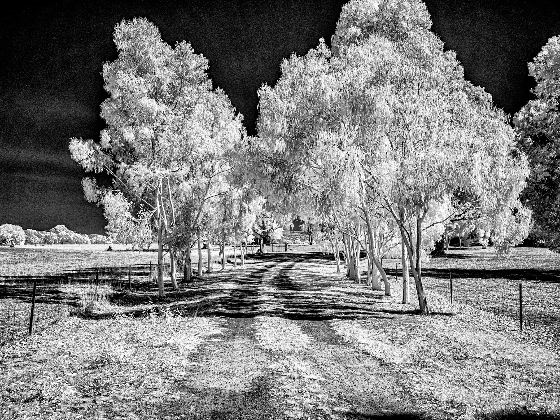 McArthur Farm, The Grampians