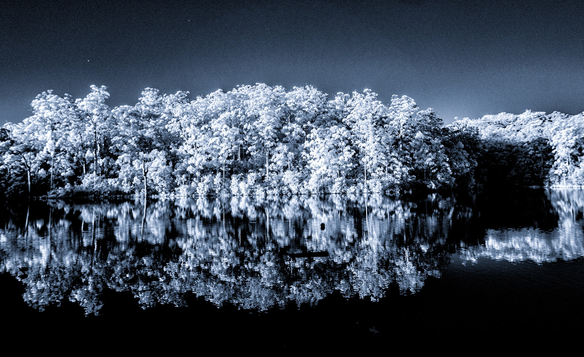 Infrared Sunset, Beedelup