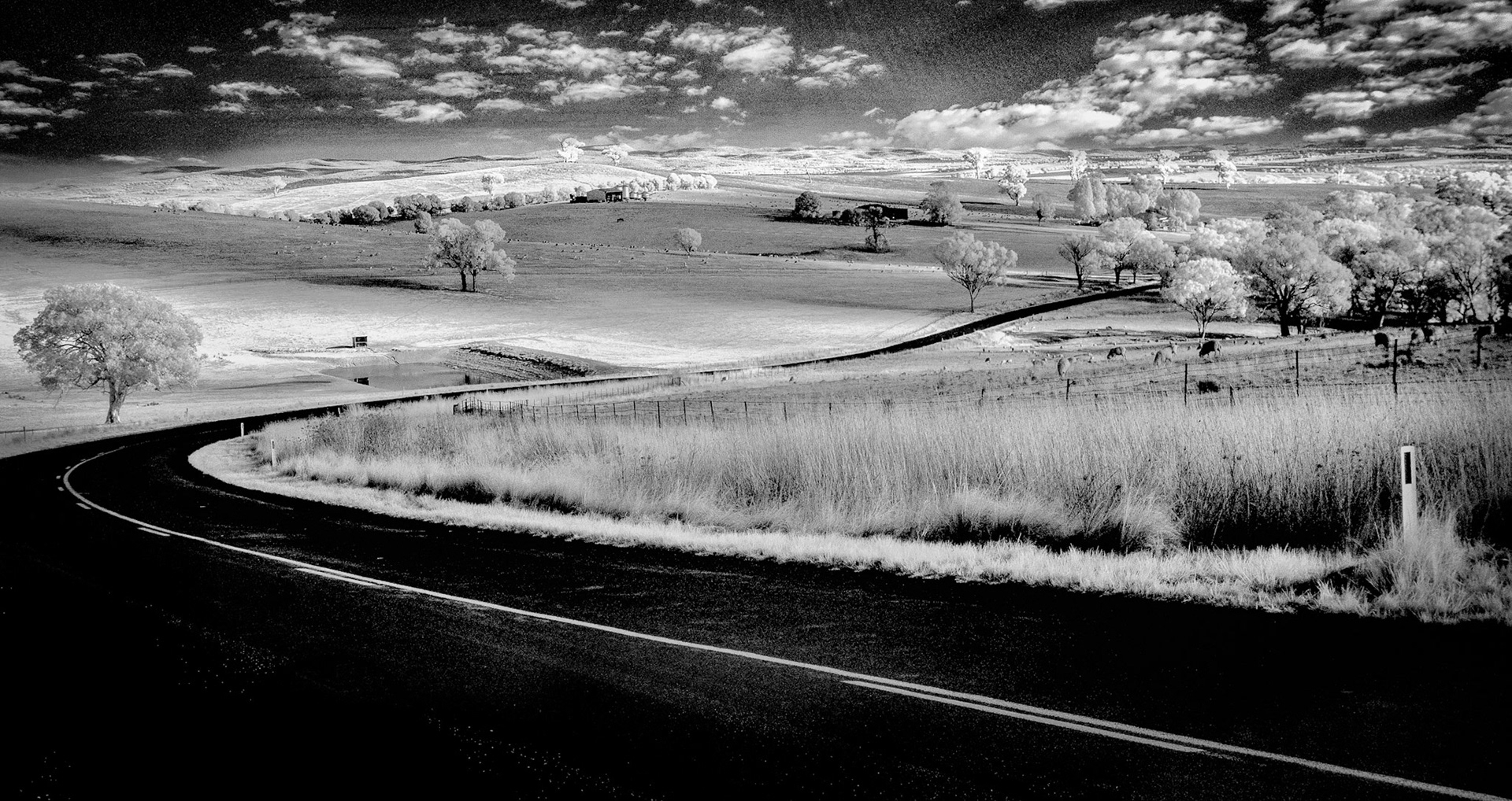 Country Road near Canowindra