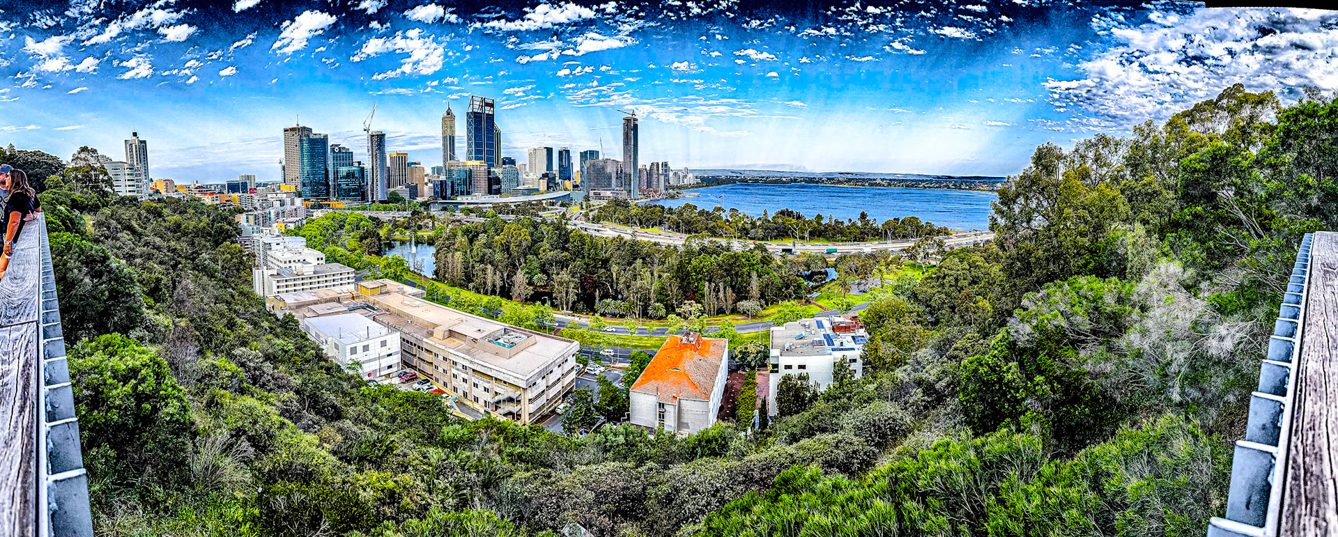Perth from Kings Park