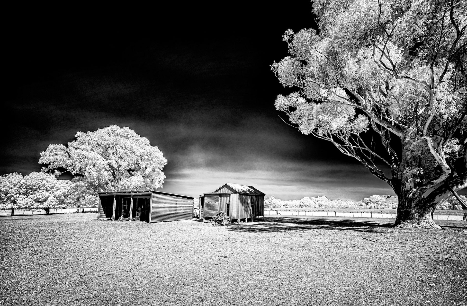 McArthur Farm Cabins in the Grampains