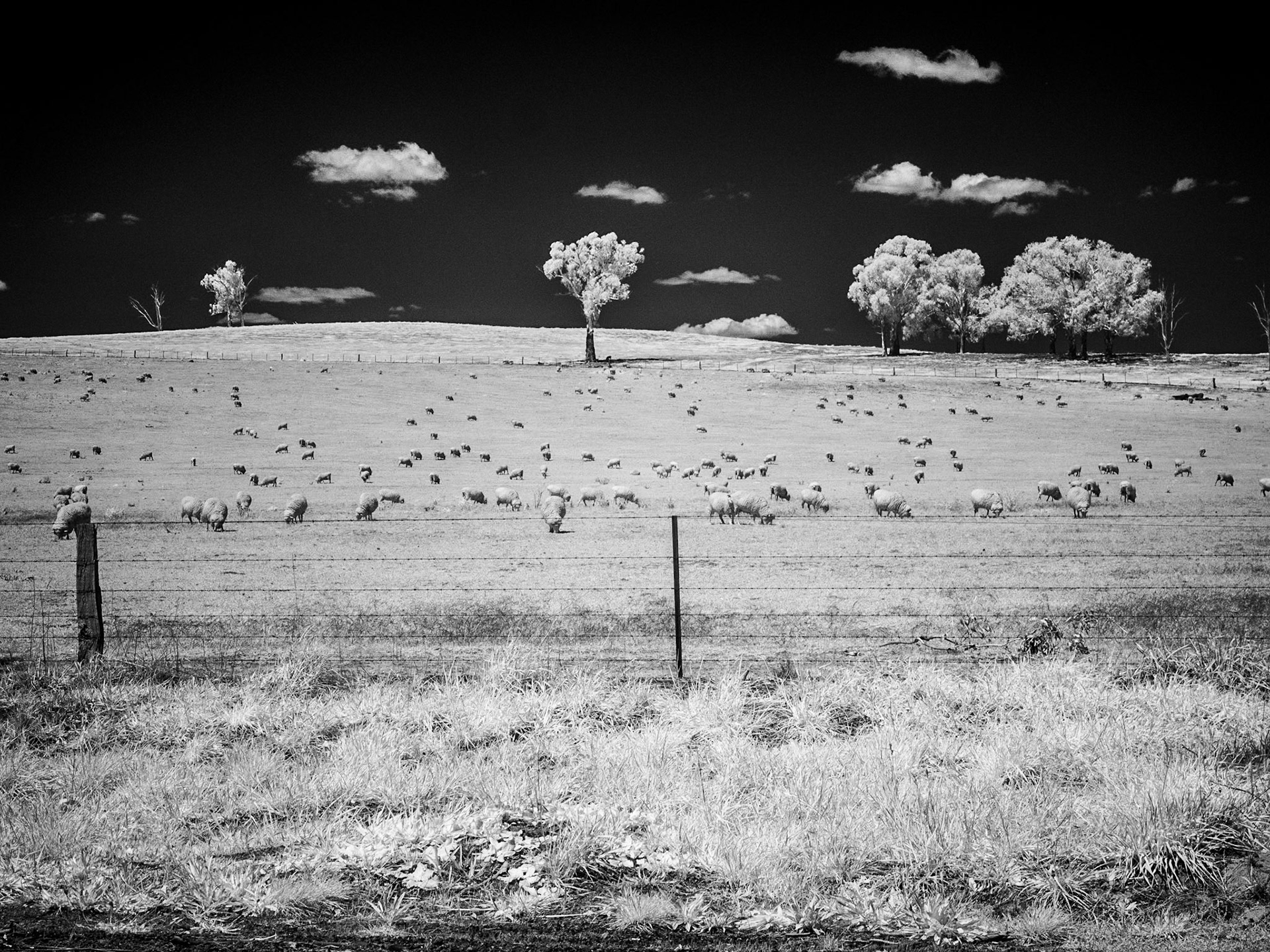 Country Rpad near Canowindra