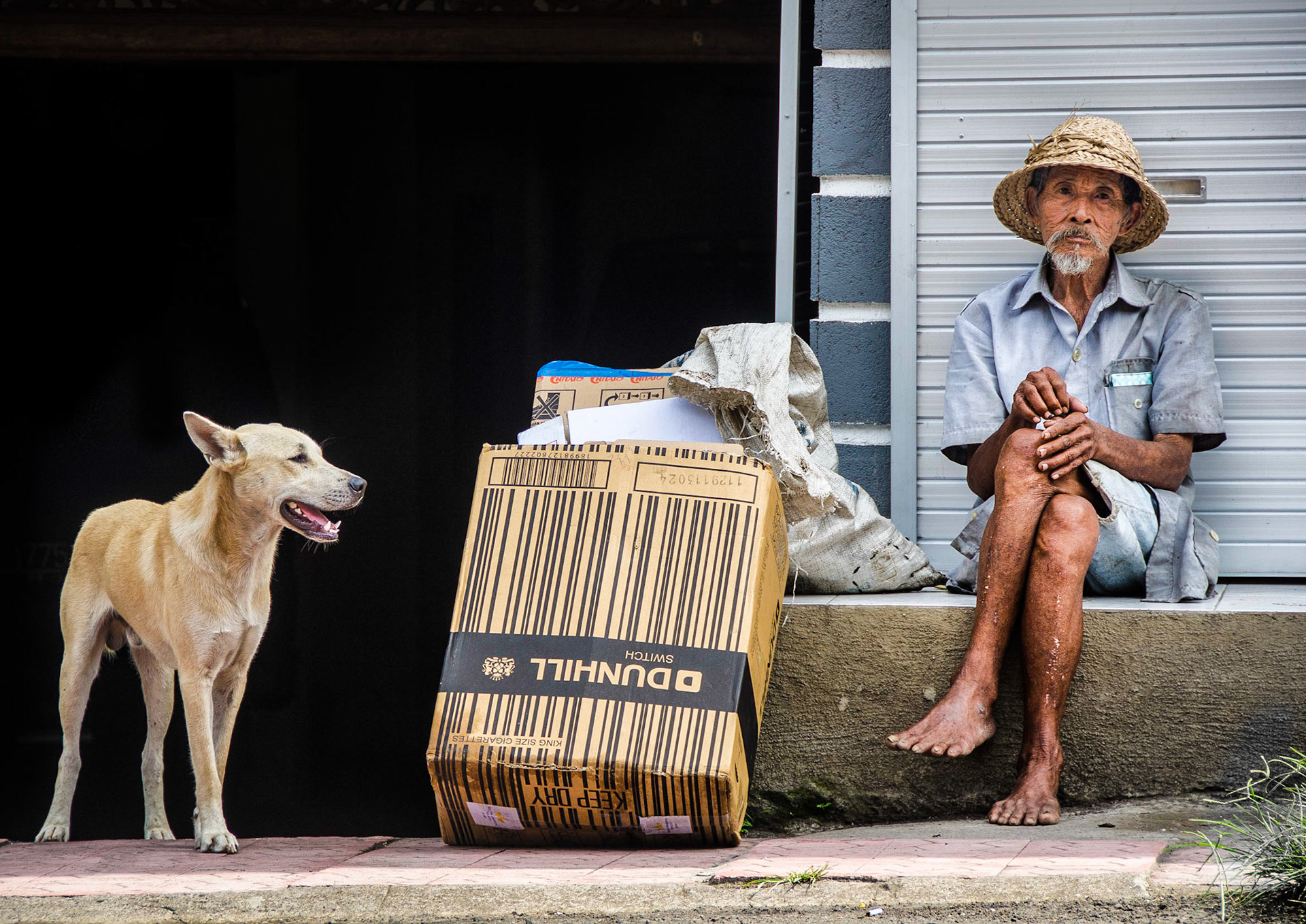 Man and his Dog - Bali