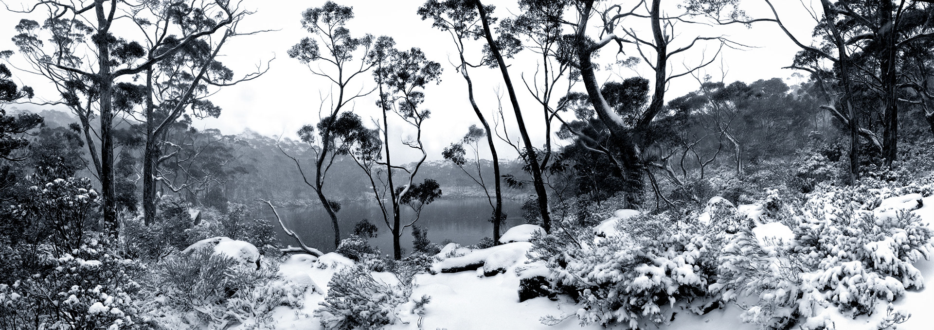 Lake Dobson Snow, Tasmania