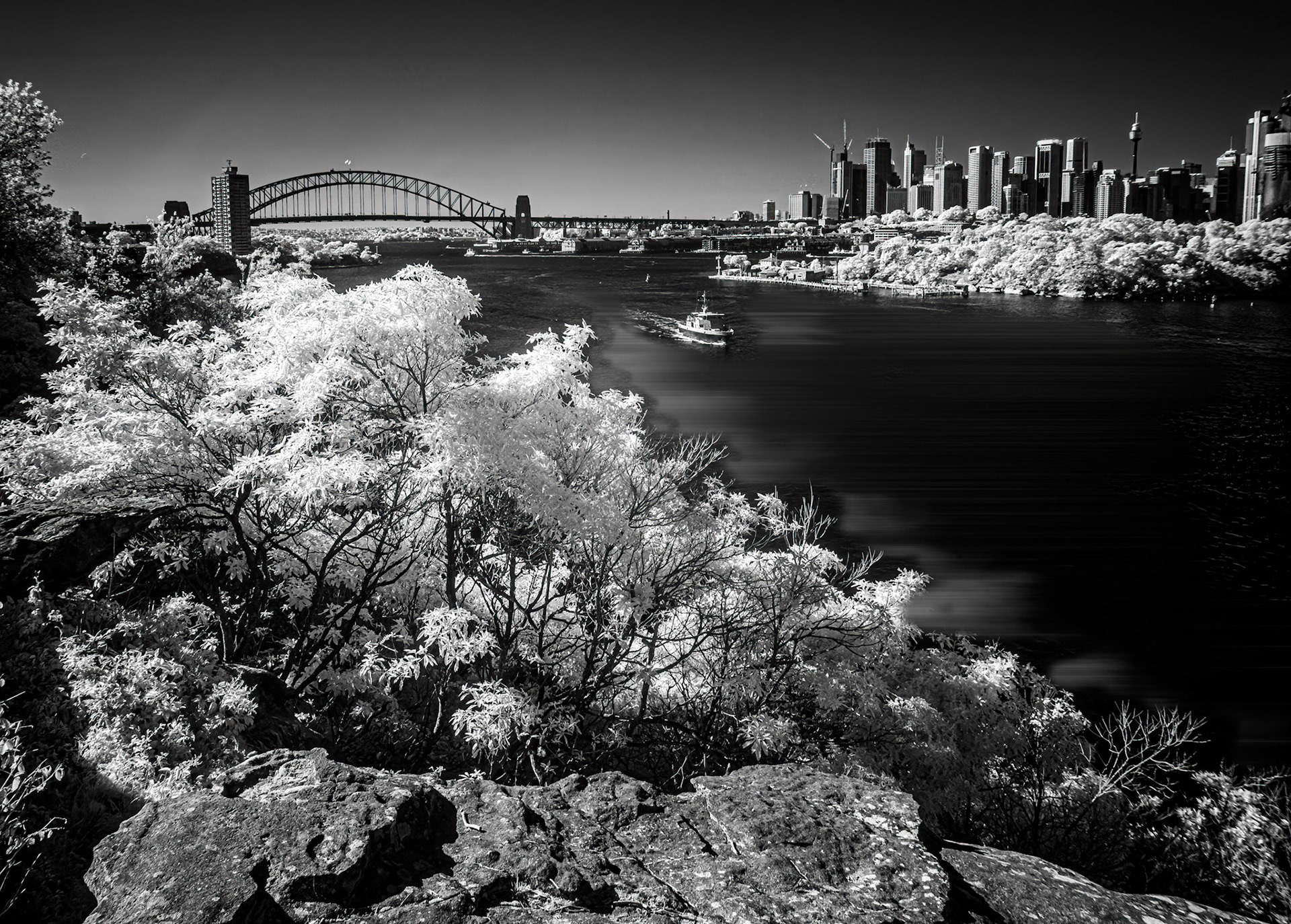 Sydney from Balls Head