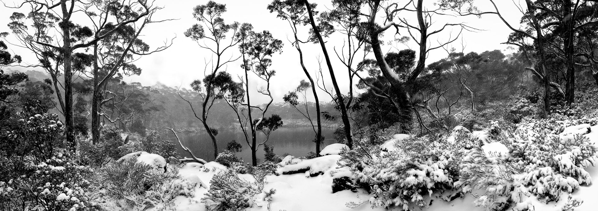 Lake Dobson Snow, Tasmania