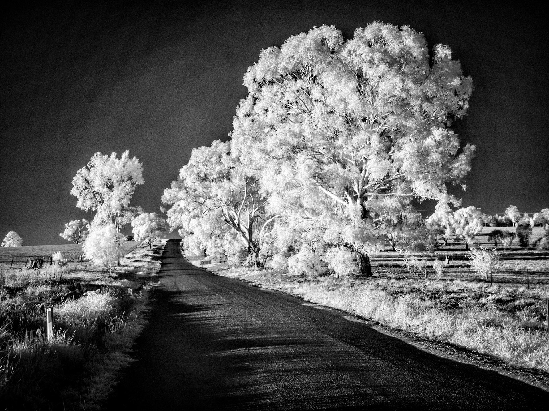 Country Road near Canowindra