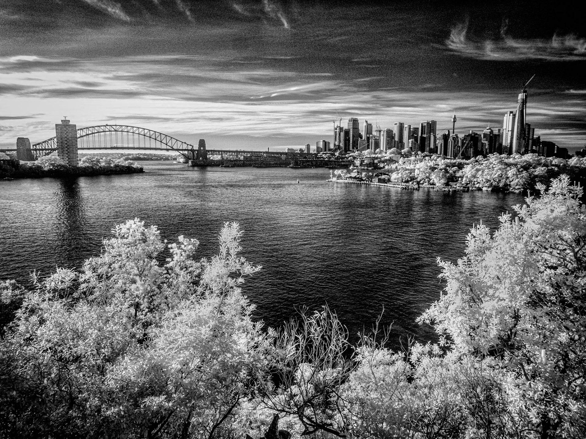 Sydney from Balls Head