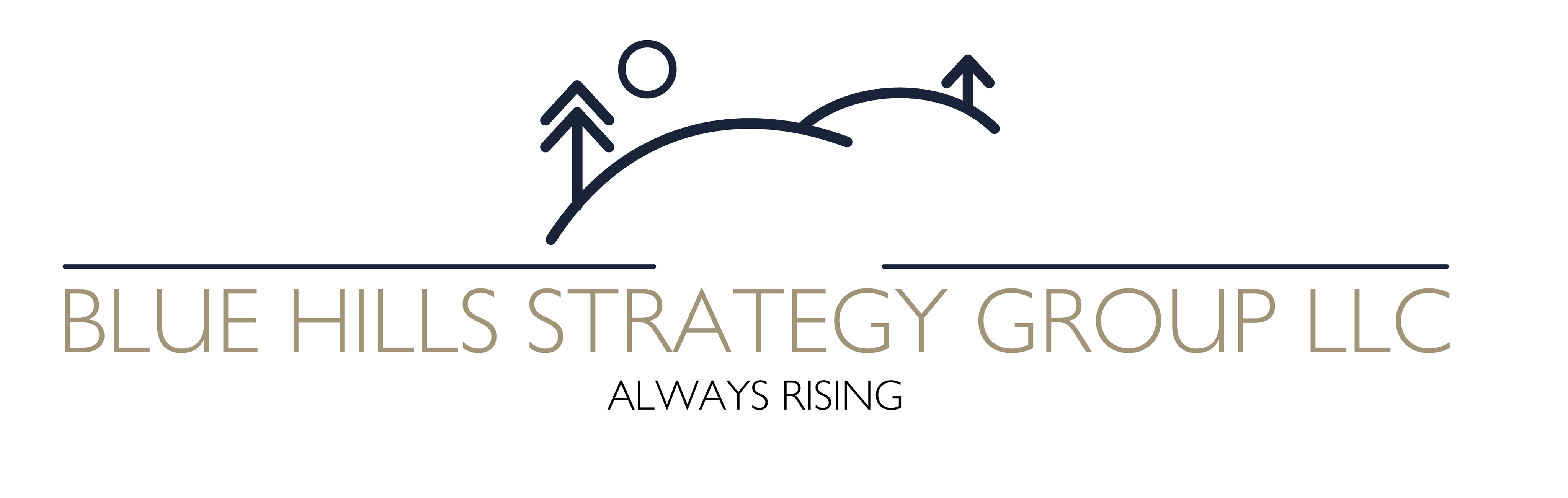 Blue Hills Strategy Group