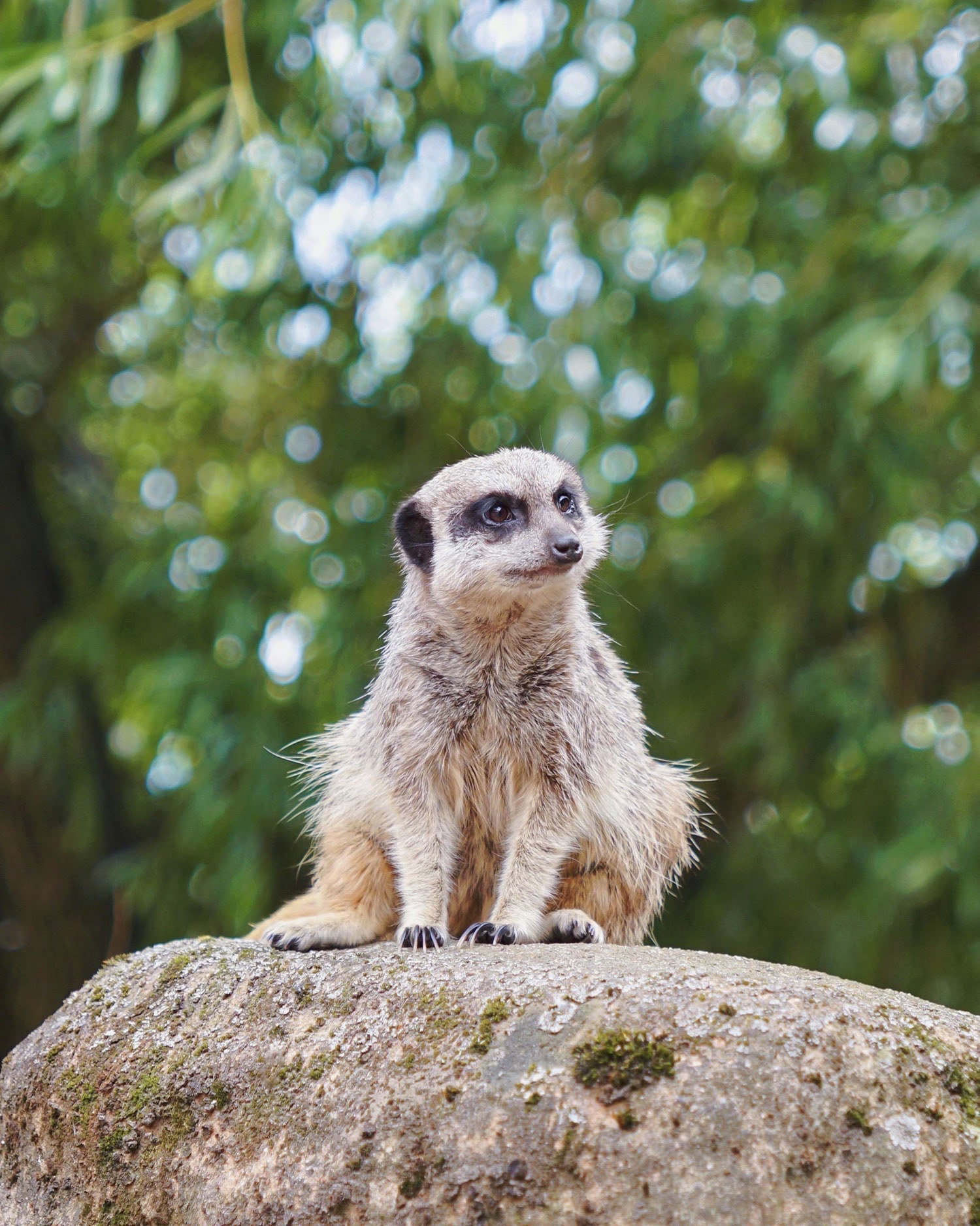 Skansen-Akvariet, Stockholm