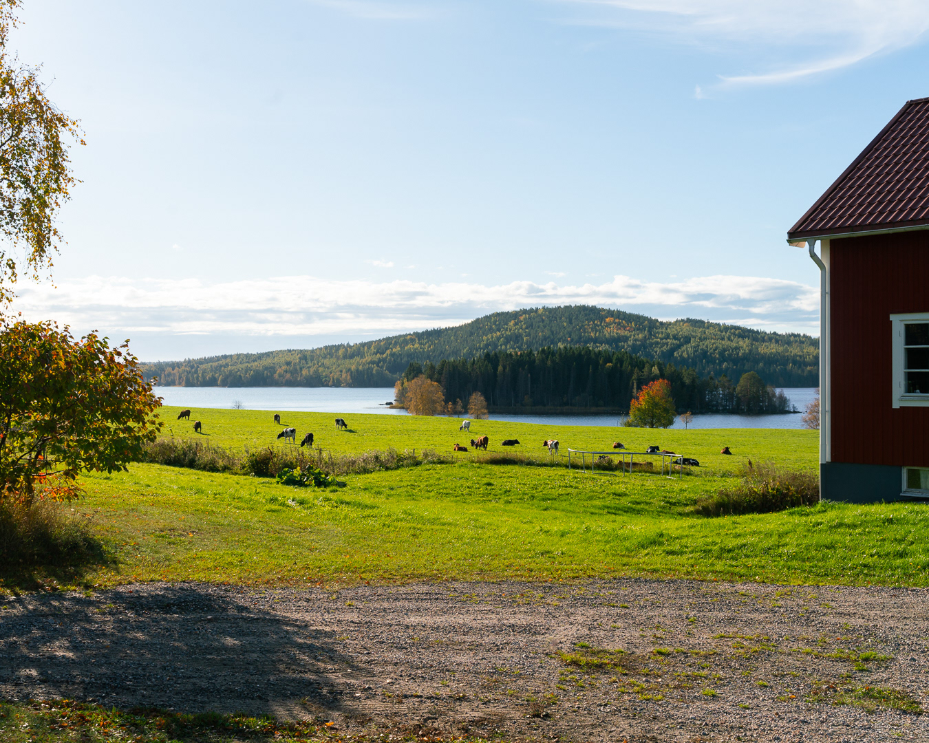 Lantbrukarnas Riksförbund