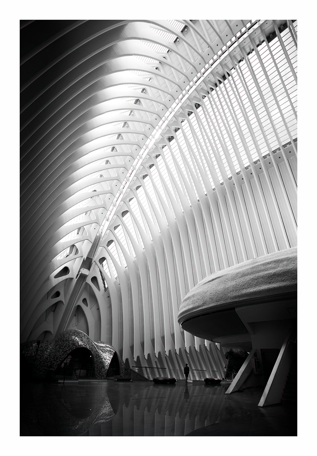 Solitary in Geometry - City Of Arts & Sciences