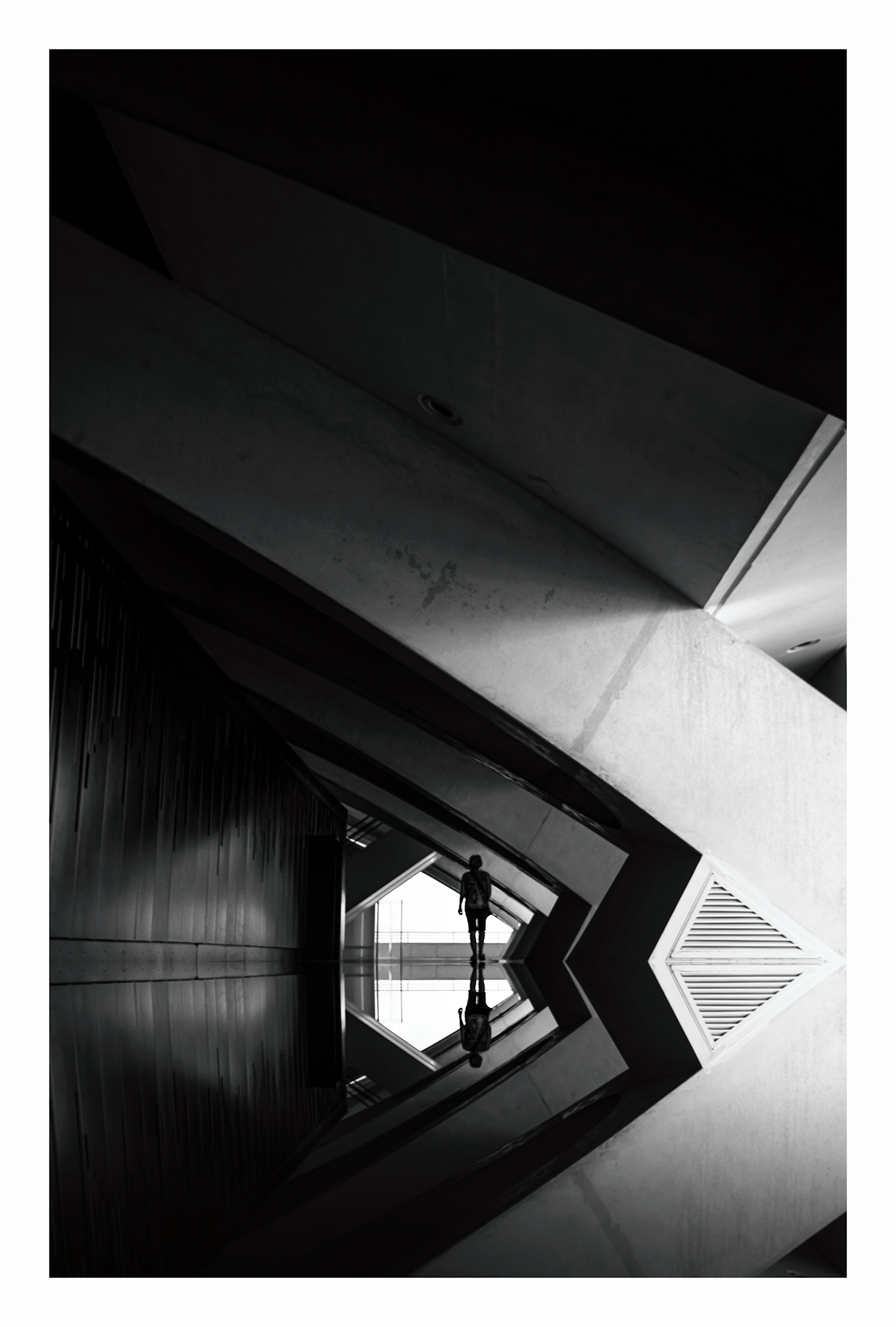Solitary In Geometry - City of Arts and Sciences - Valencia