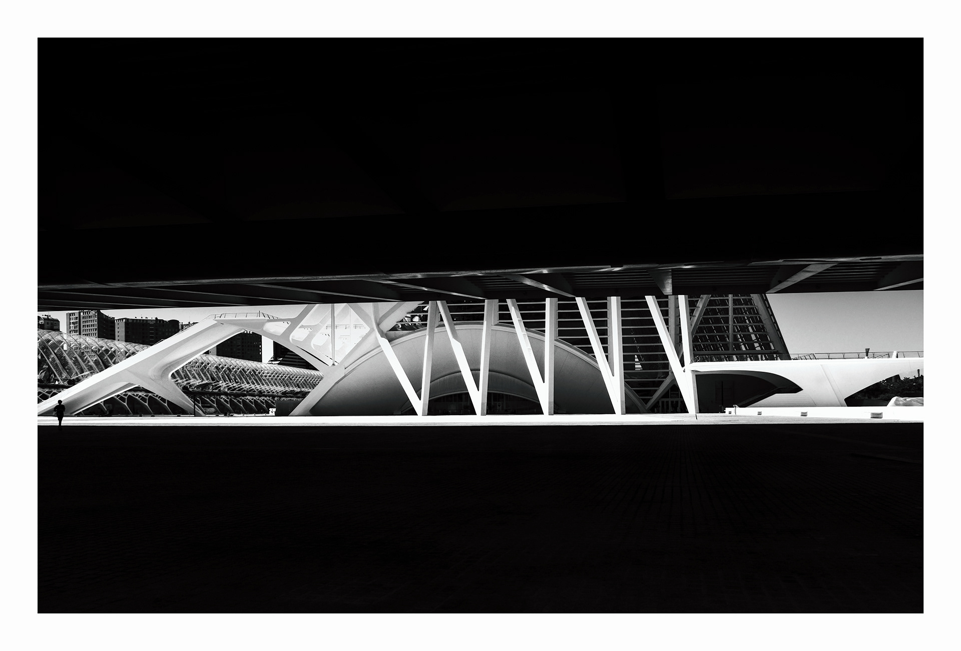 Solitary in Geometry - City Of Arts Sciences - Valencia