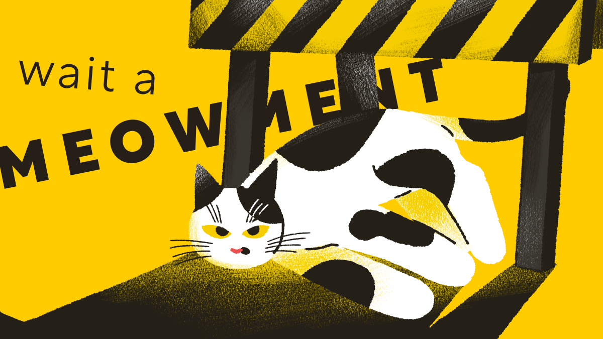 Dillyhub announcement banner