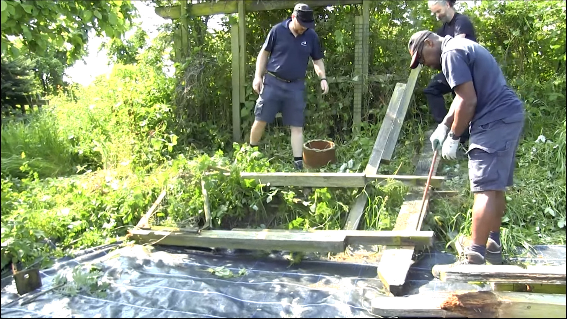 The Pod - Pergola still