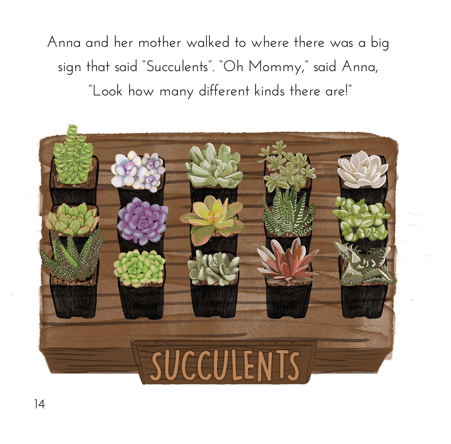 MY VERY OWN SUCCULENT 2021