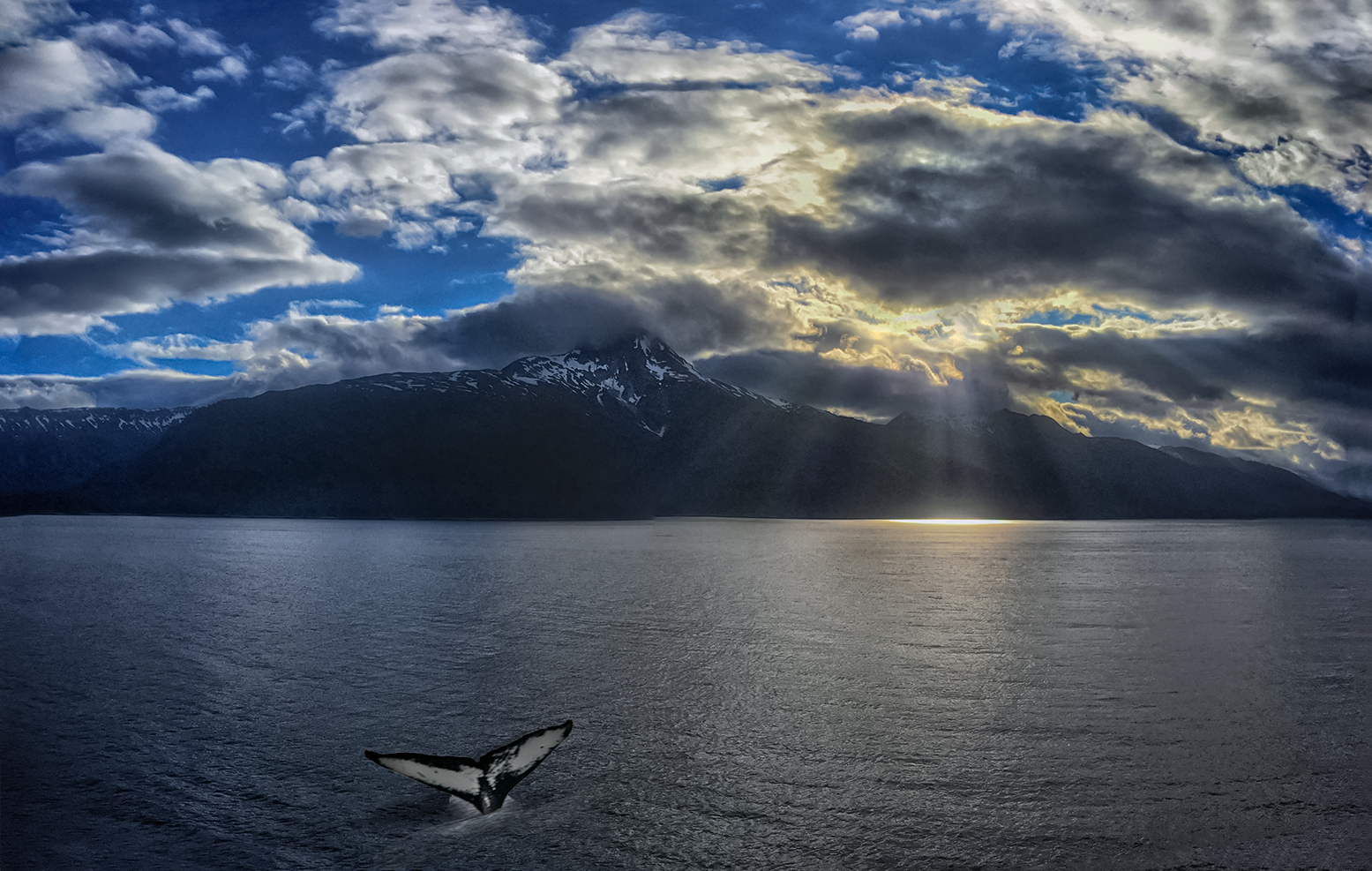 A whale tale breaking the surface during Alaskan sunset