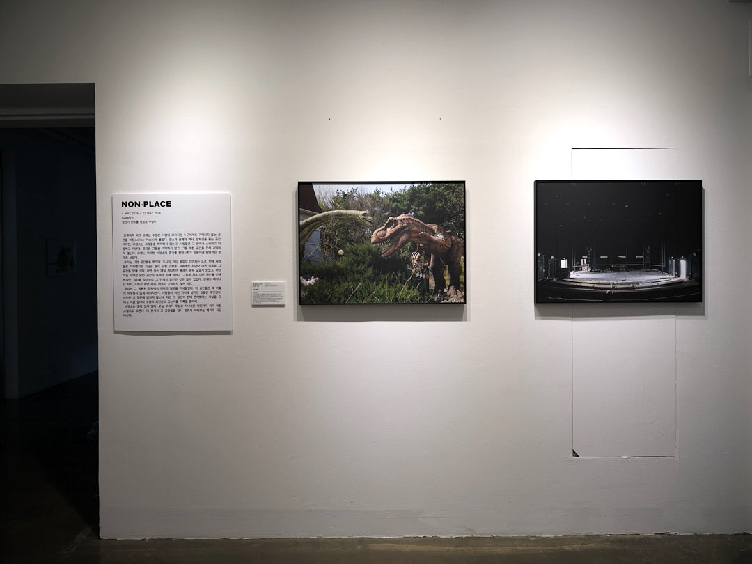 Gallery 11