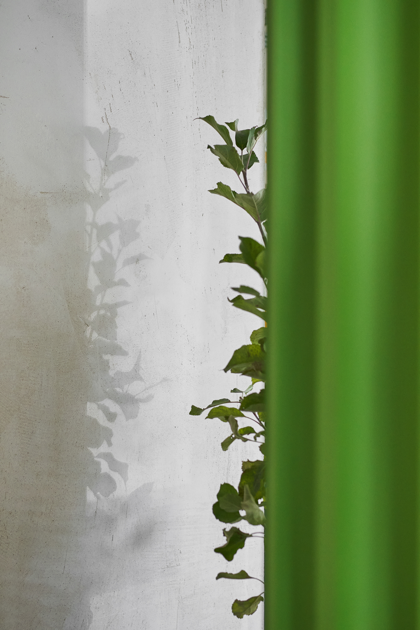 Animals pop-up by DA Bureau