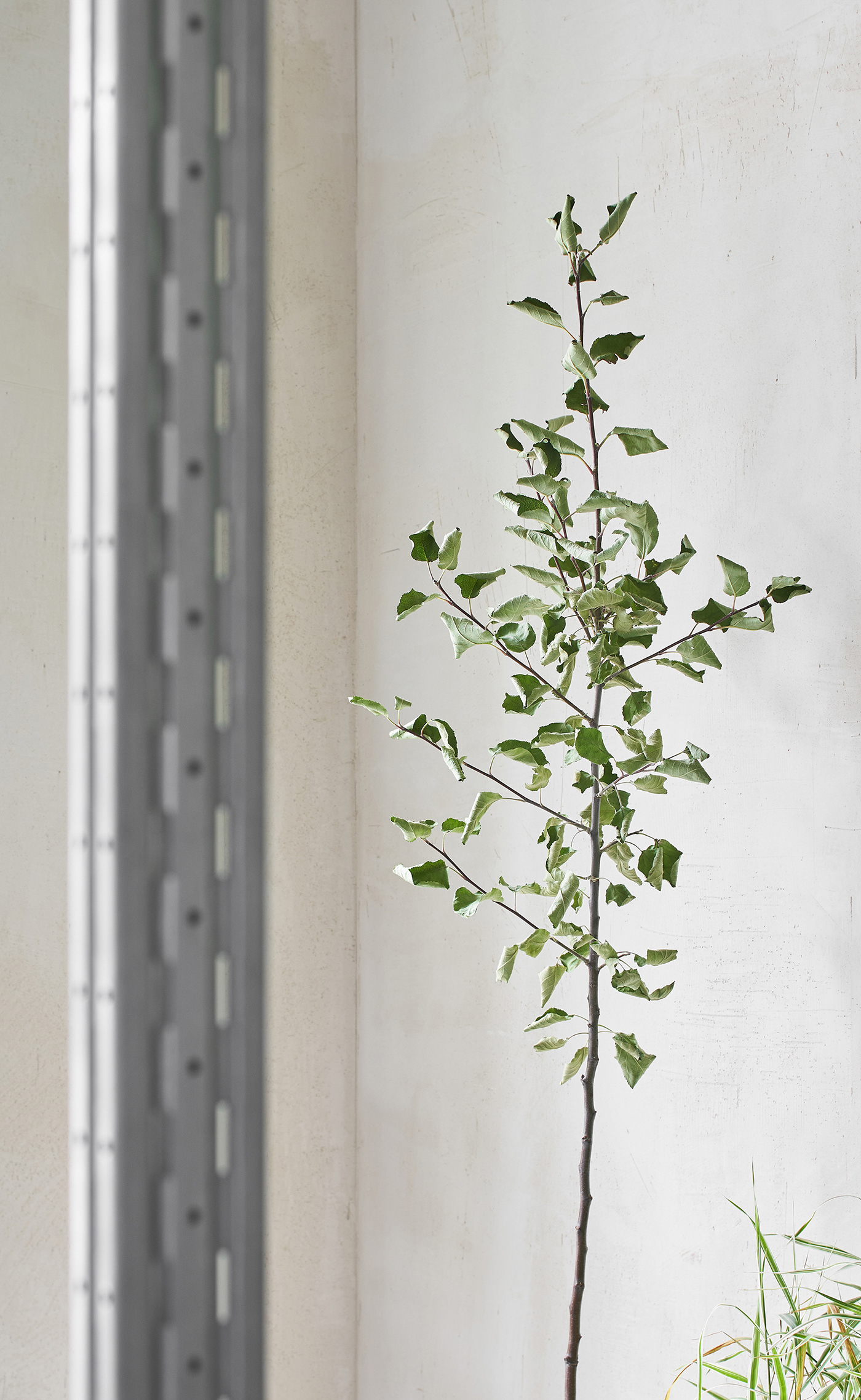 Animals pop-up by DA Bureau