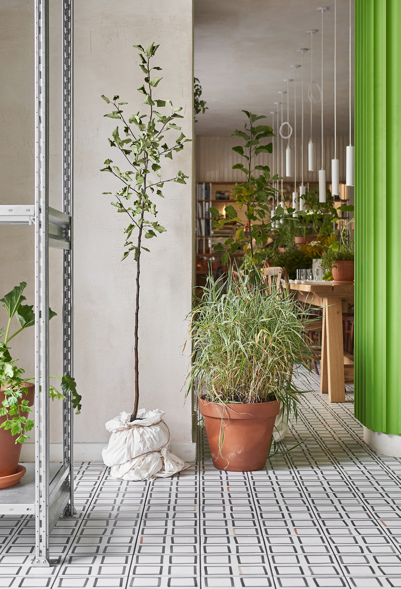 Animals pop-up by DA Bureau