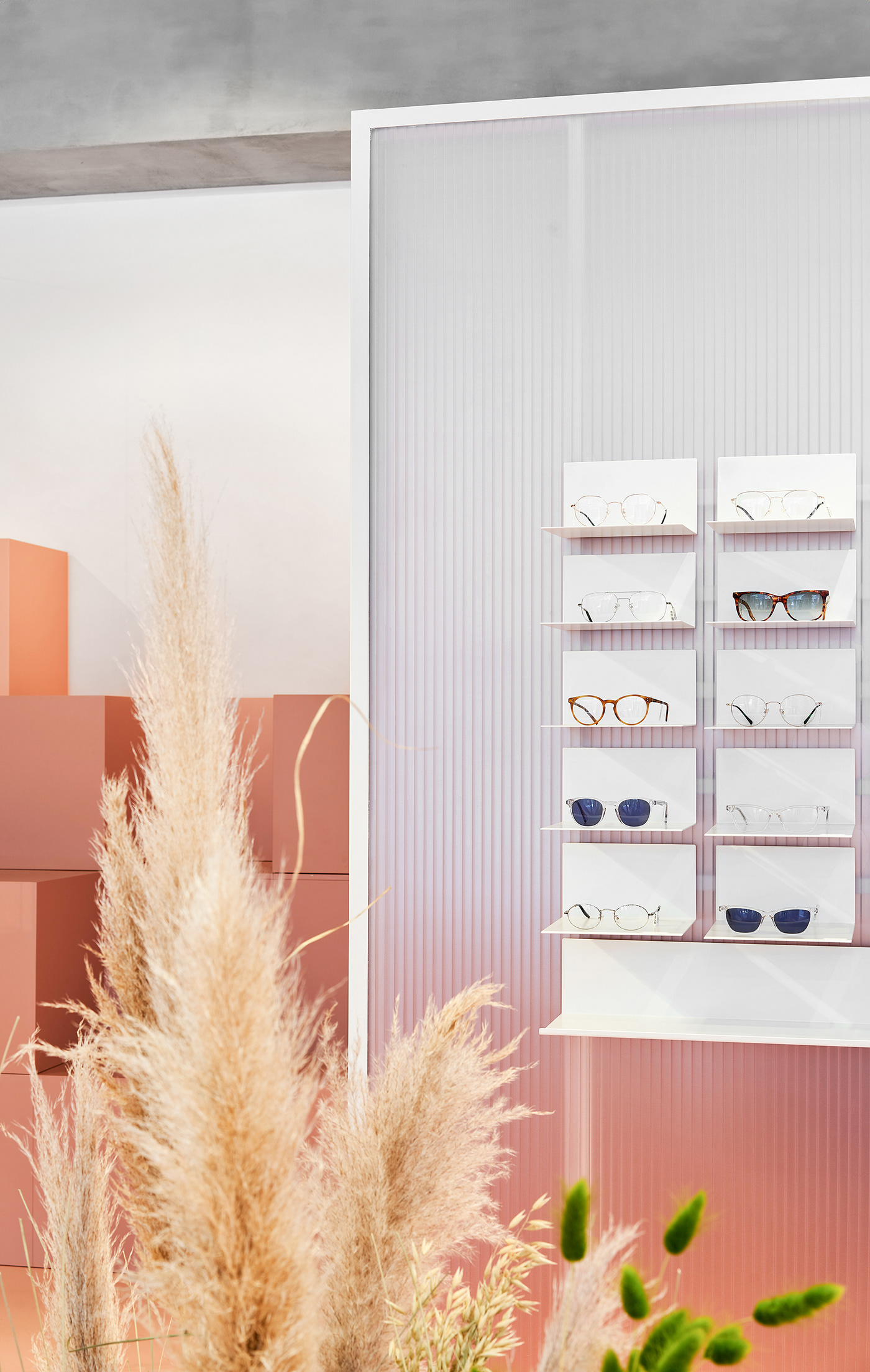 Radius 58 optic store interior photo