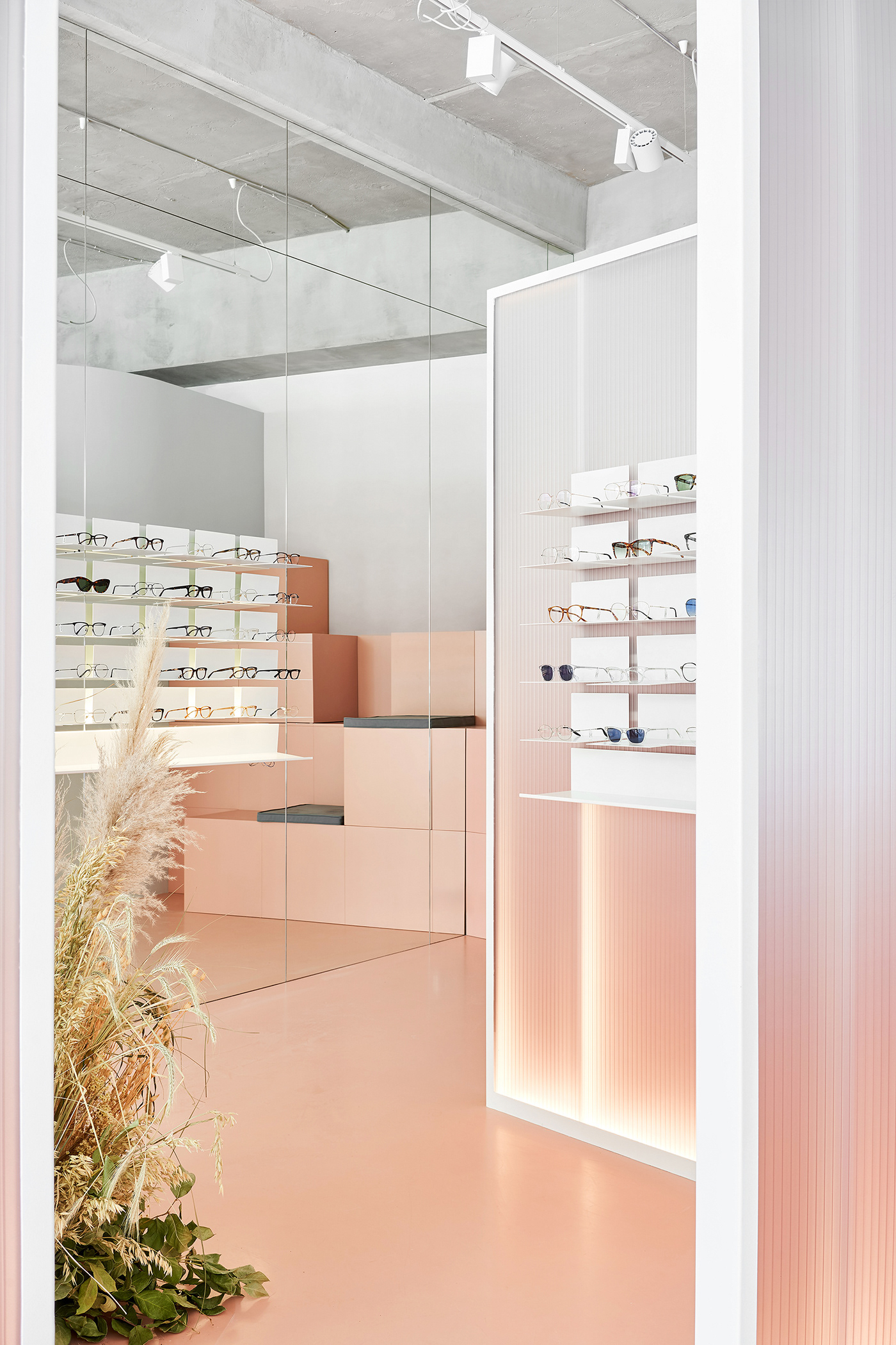 Radius 58 optic store interior photo