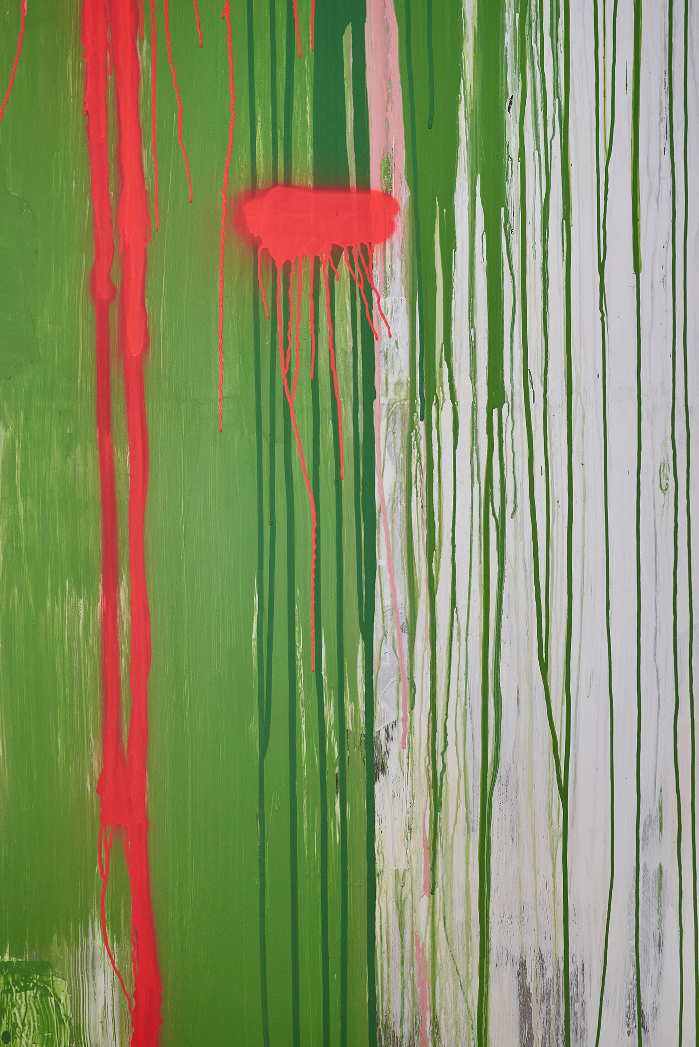 Animals pop-up by DA Bureau