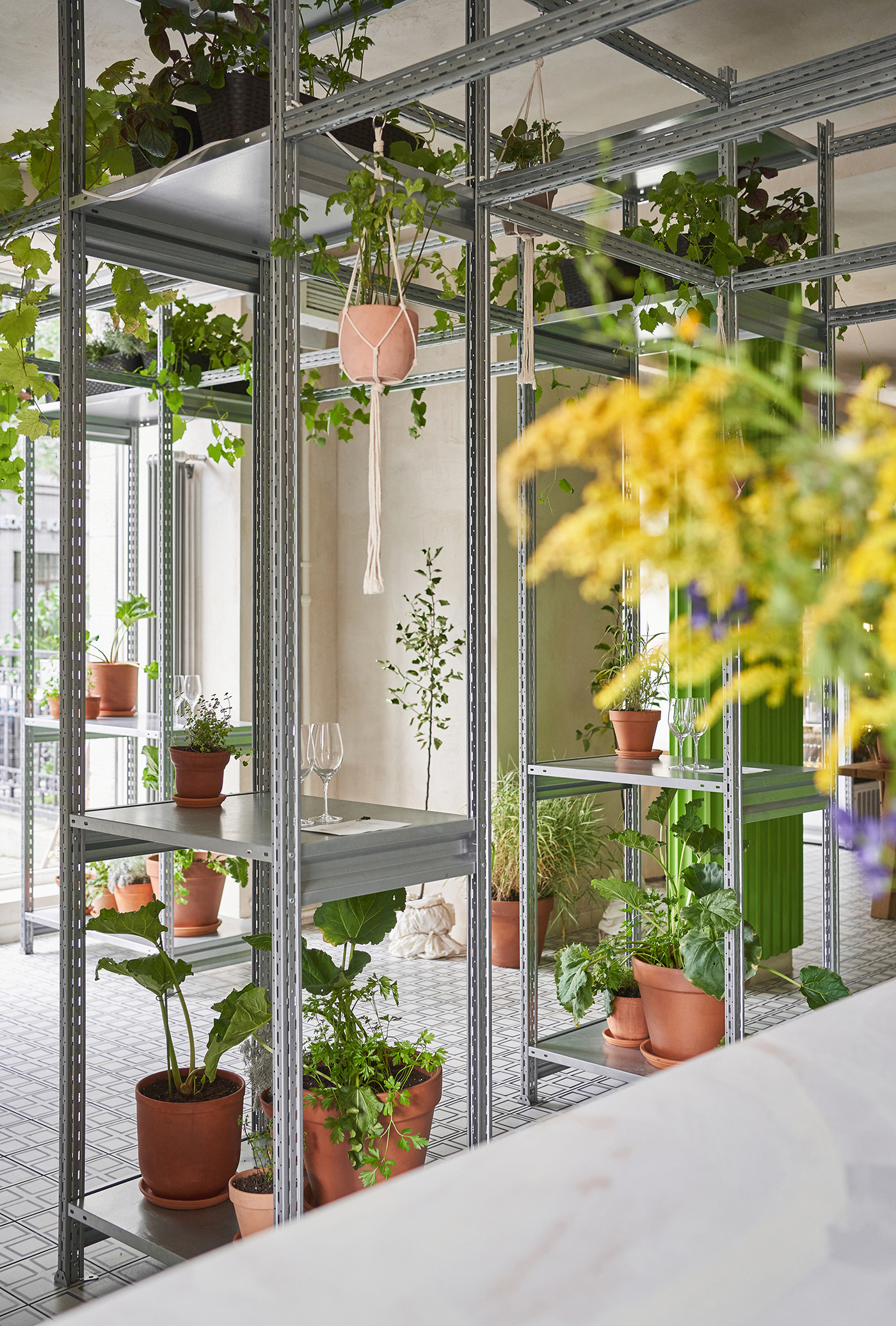 Animals pop-up by DA Bureau