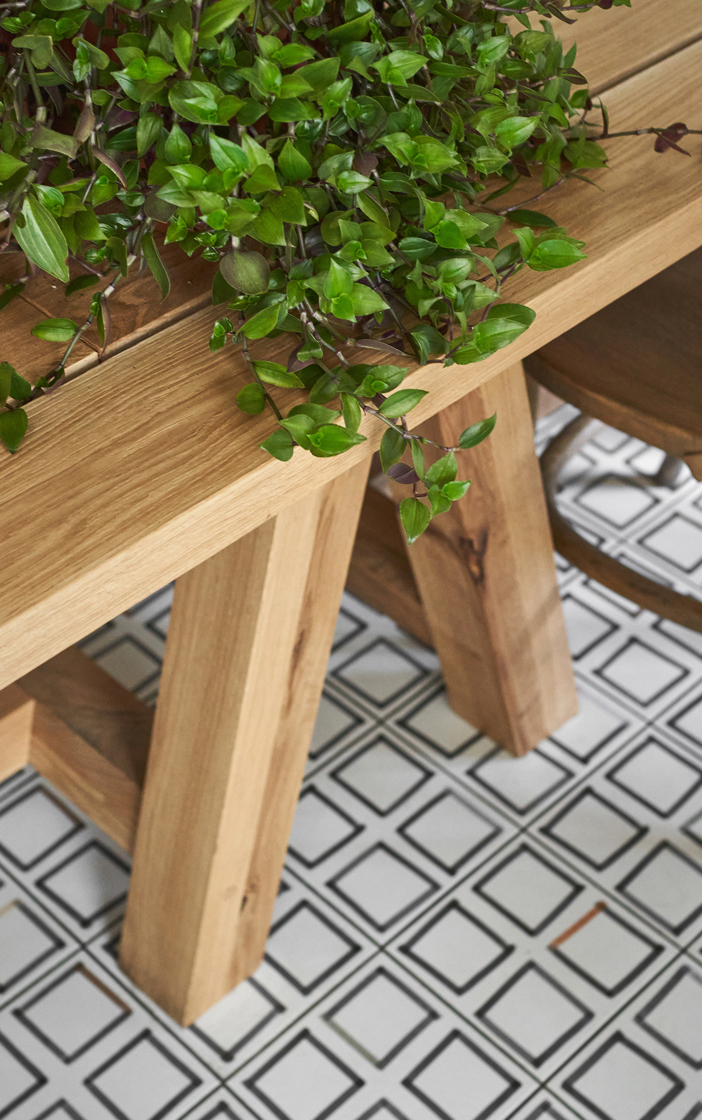 Animals pop-up by DA Bureau