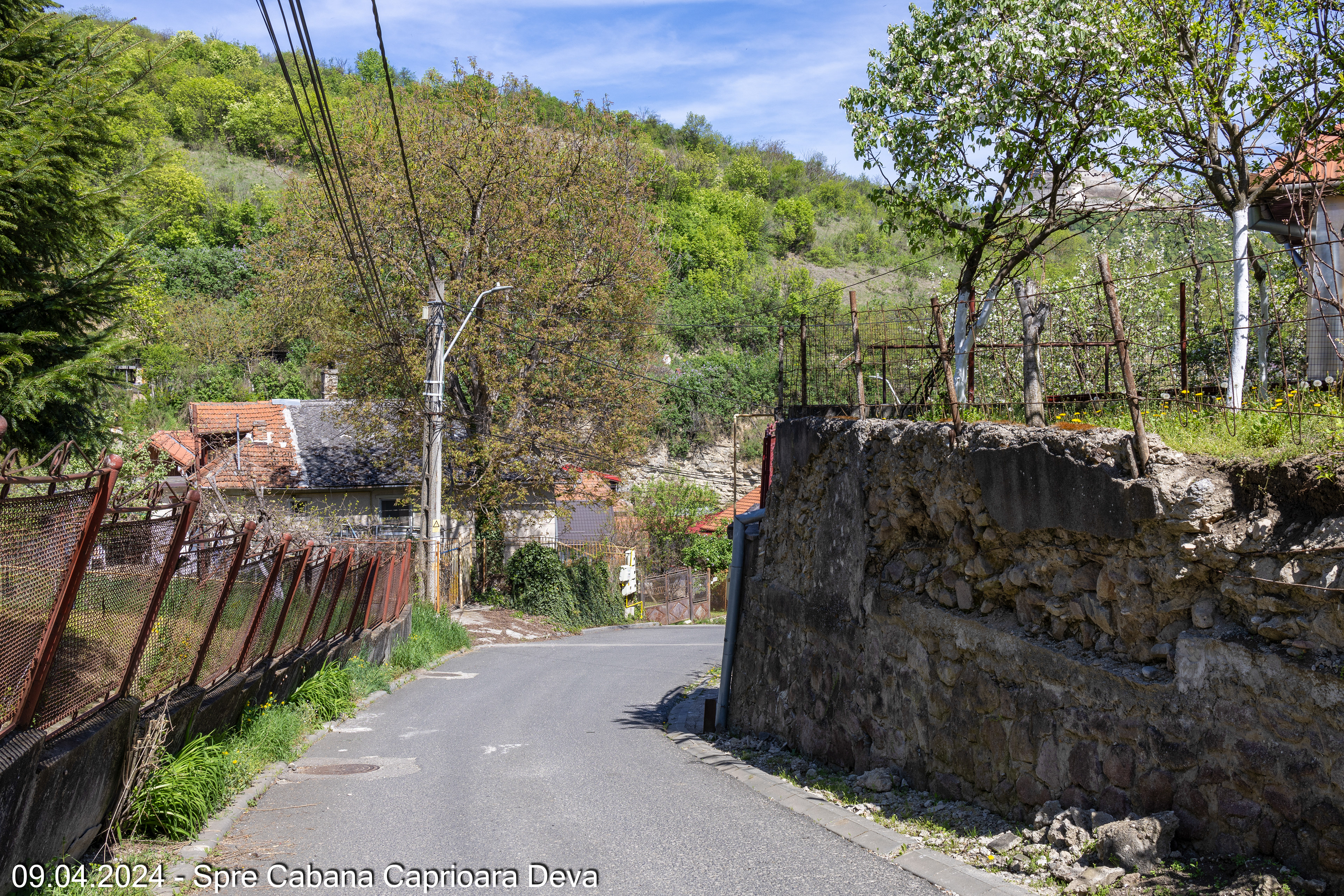 Pe strada Crangului