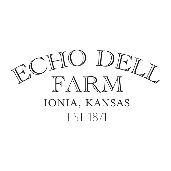 Tshirt Left Chest Print