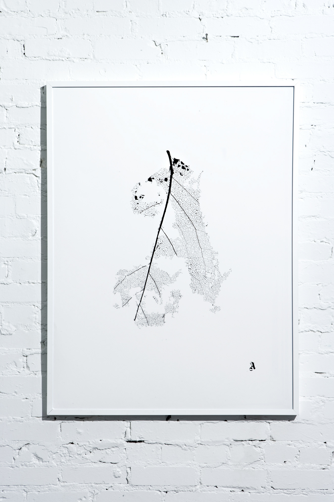 Typography