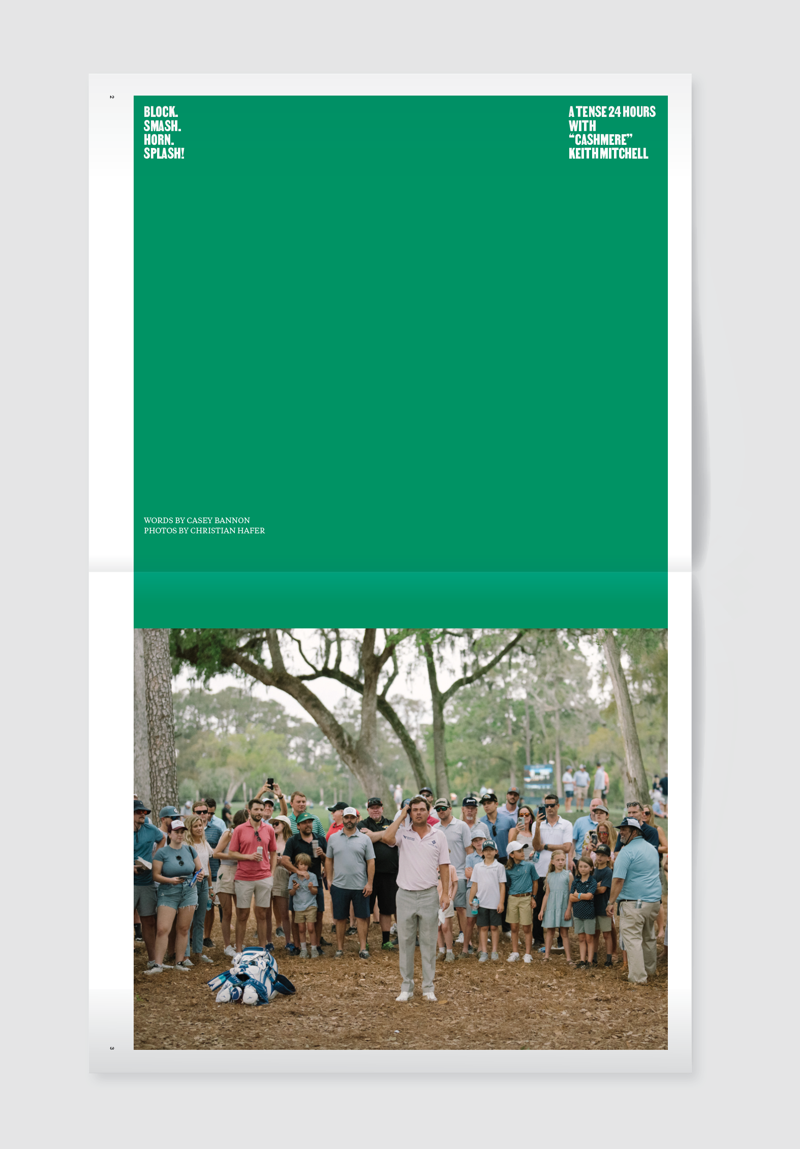 The Golfer's Journal