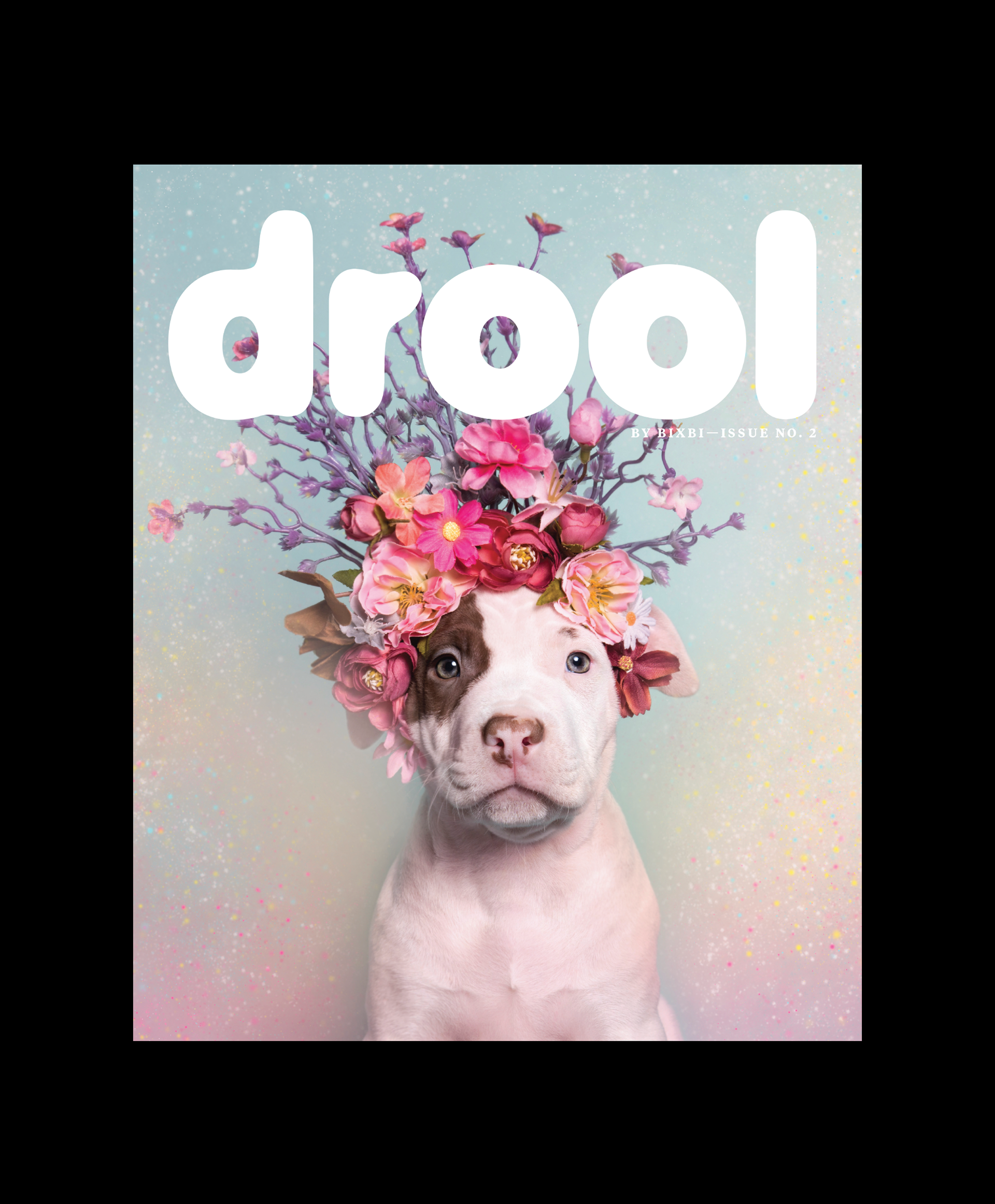 DROOL for BixbiPet