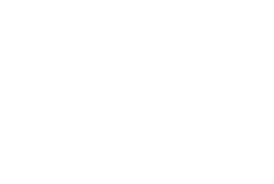 Marcelo Ivolela