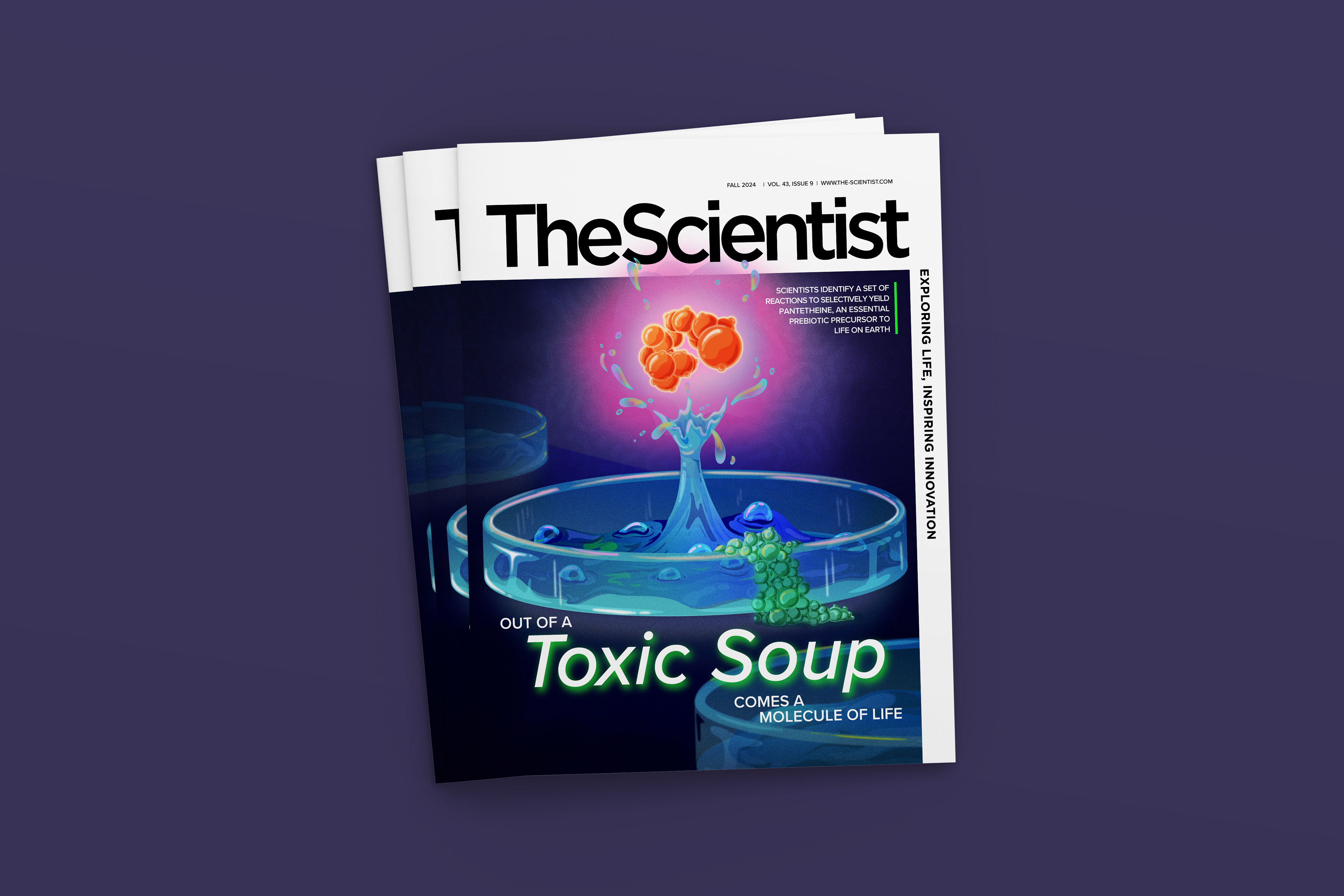 Editorial Cover design