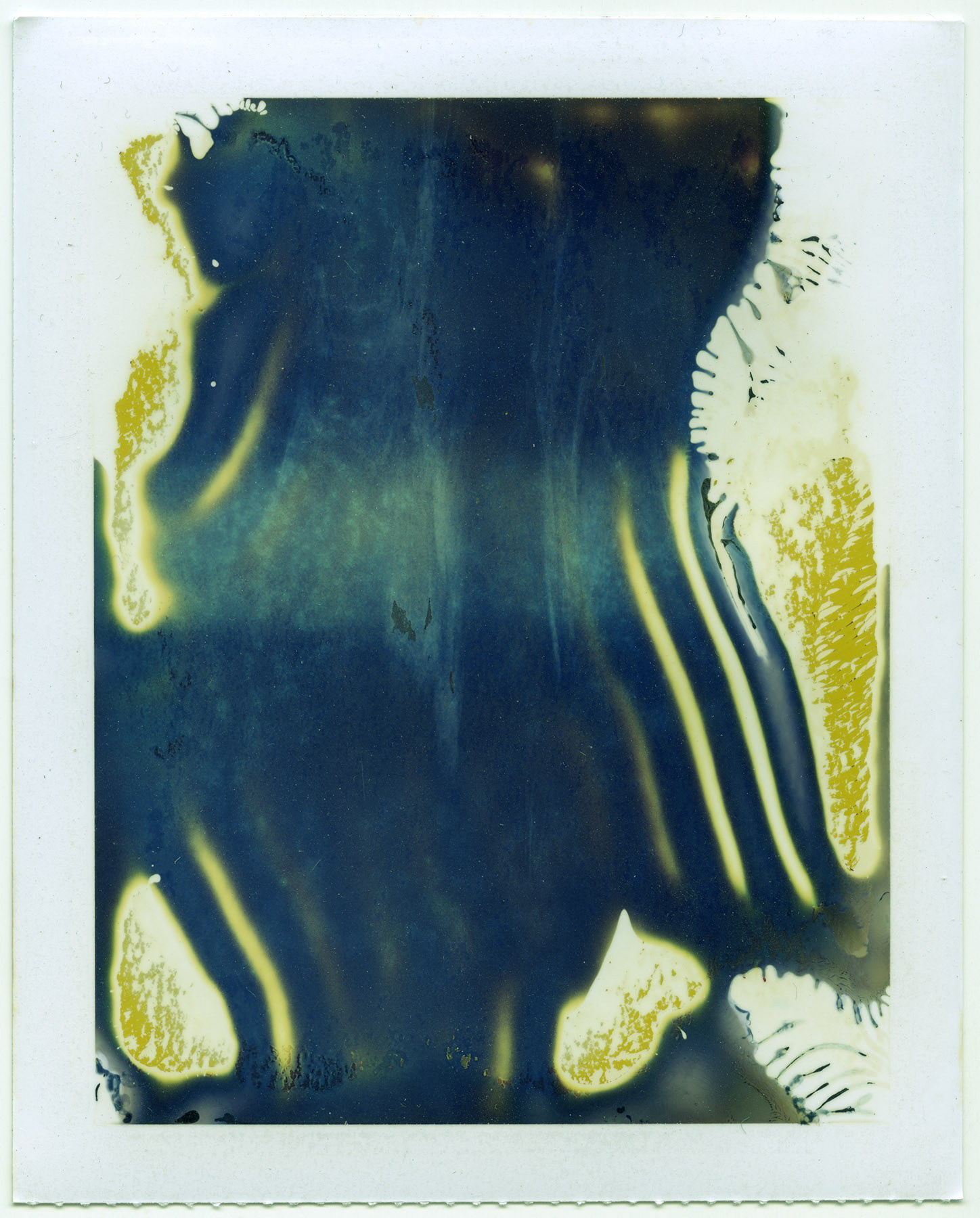 Seder Nota Burns "Untitled," 2016. Expired Polaroid Type 559