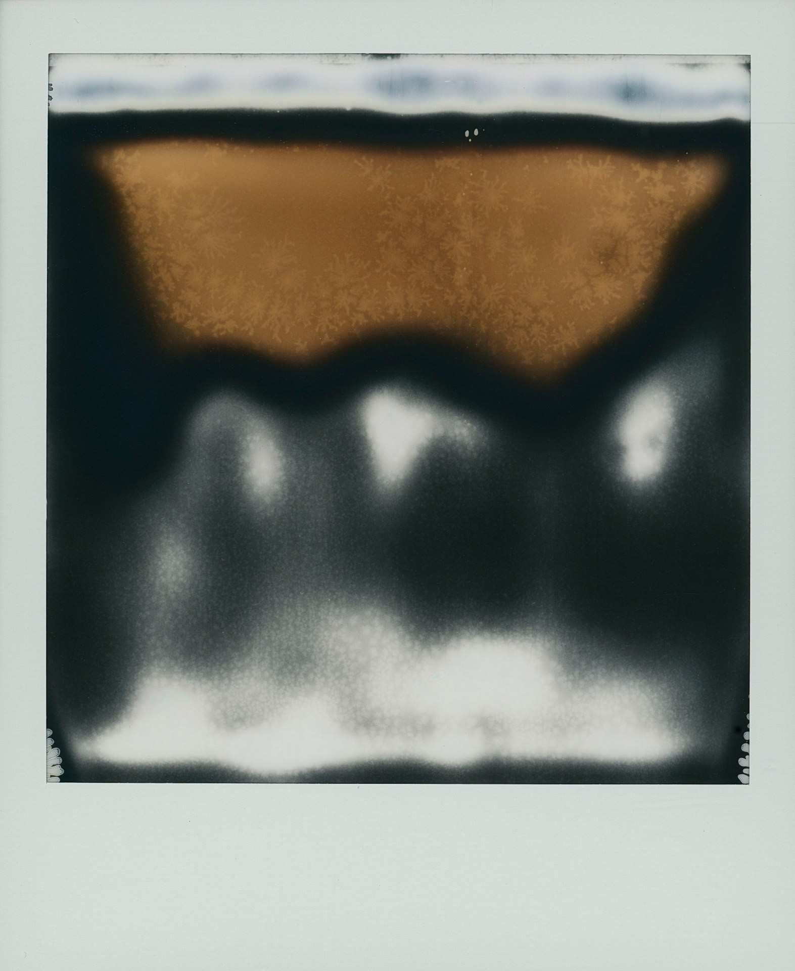 Reit Angle "Metamorphosis," 2025. Polaroid triptych, created with SX-70 Sonar camera and B&W SX-70 film. 14.8 in × 6.9 in